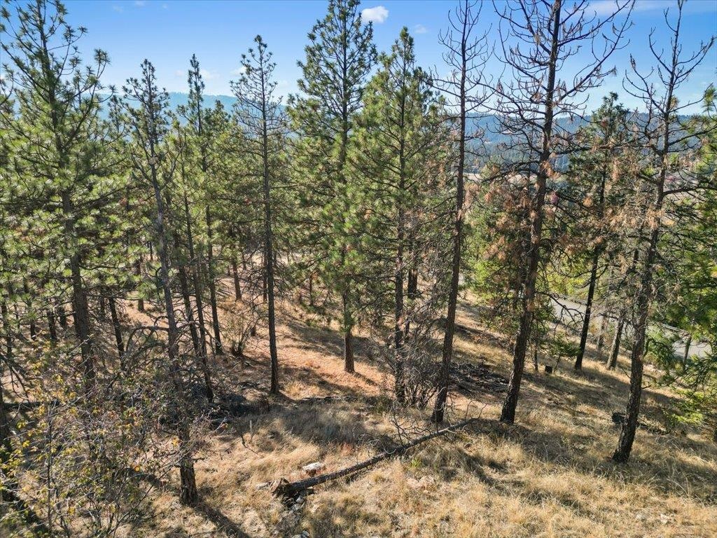12616 E Chester Ridge Ln - Photo 20