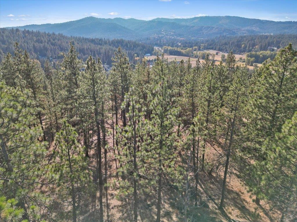 12616 E Chester Ridge Ln - Photo 21