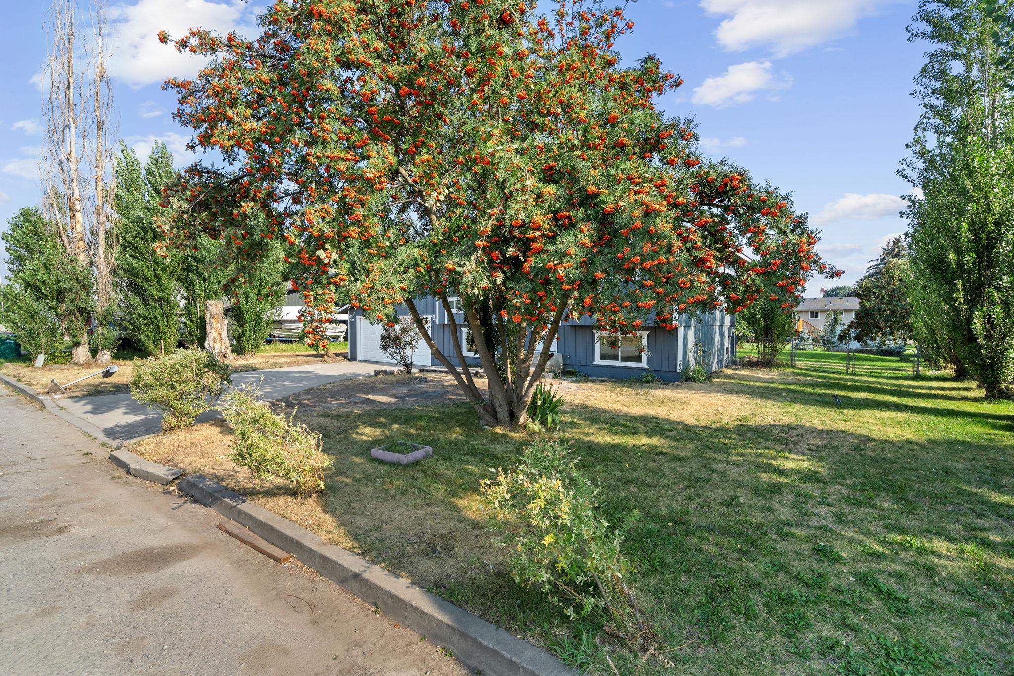 20710 E Gilbert Rd - Photo 5