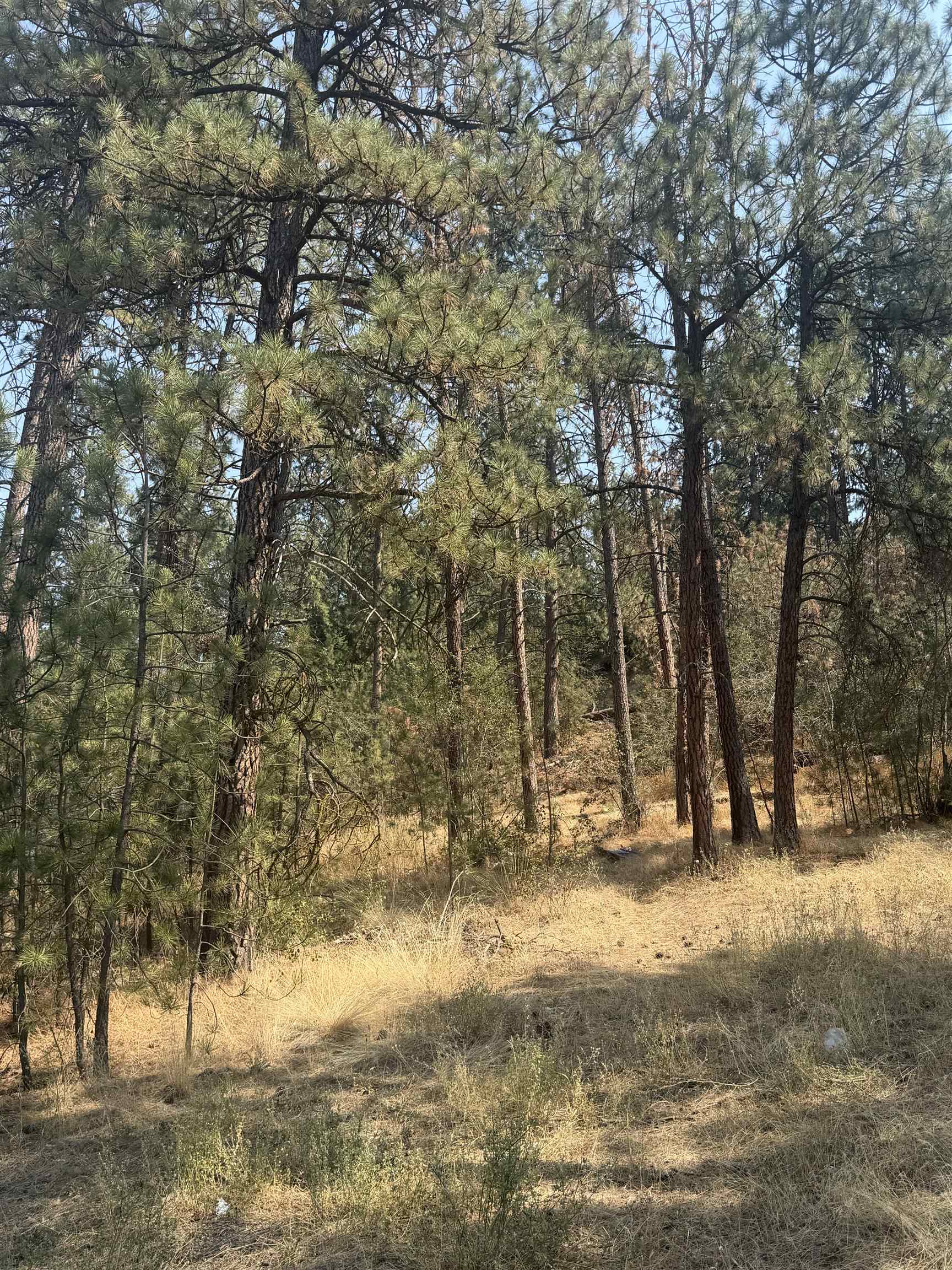 56XX E Eastwood Ave - Photo 1