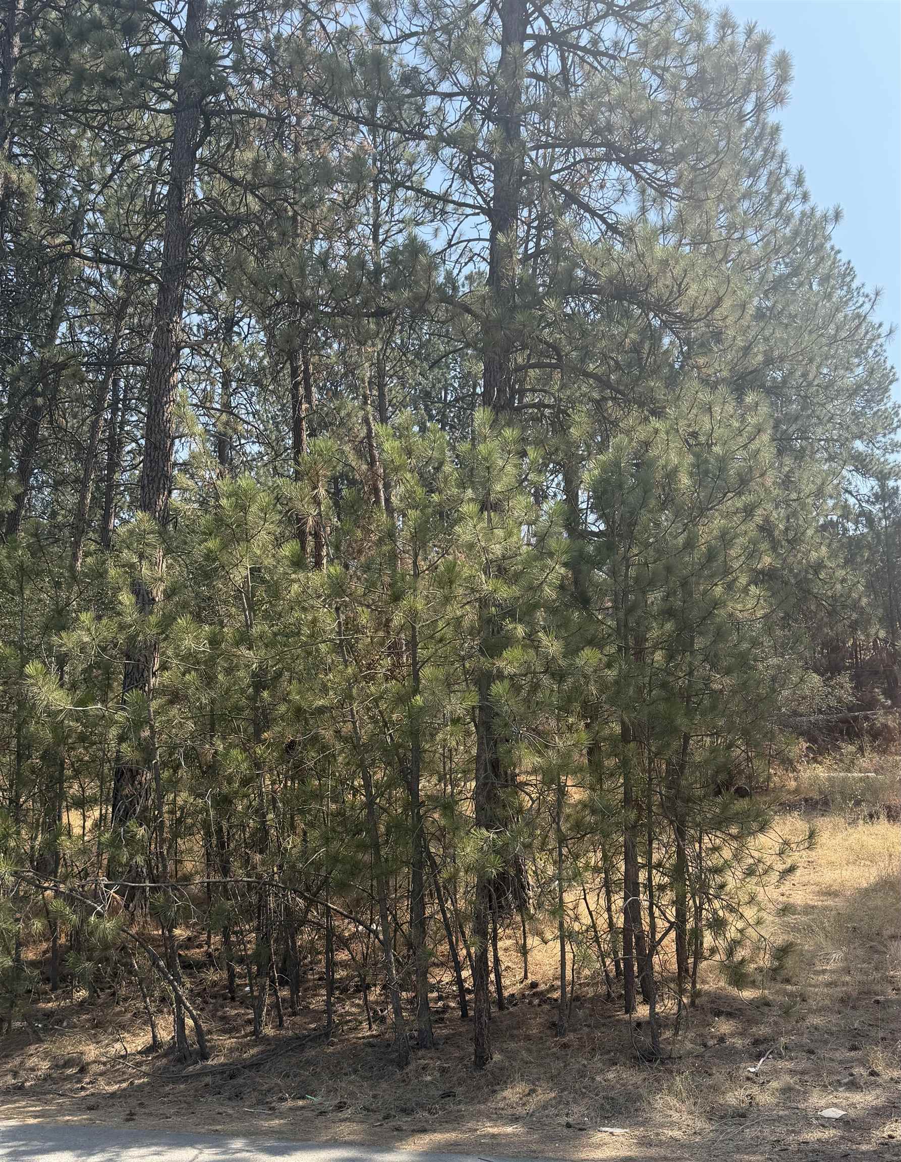 56XX E Eastwood Ave - Photo 2