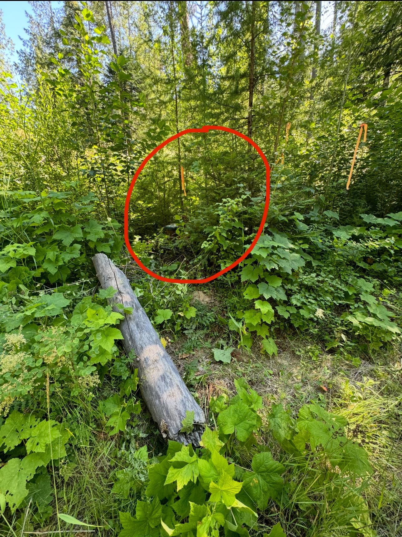 4941 Redman Lots A, B, C Rd - Photo 45