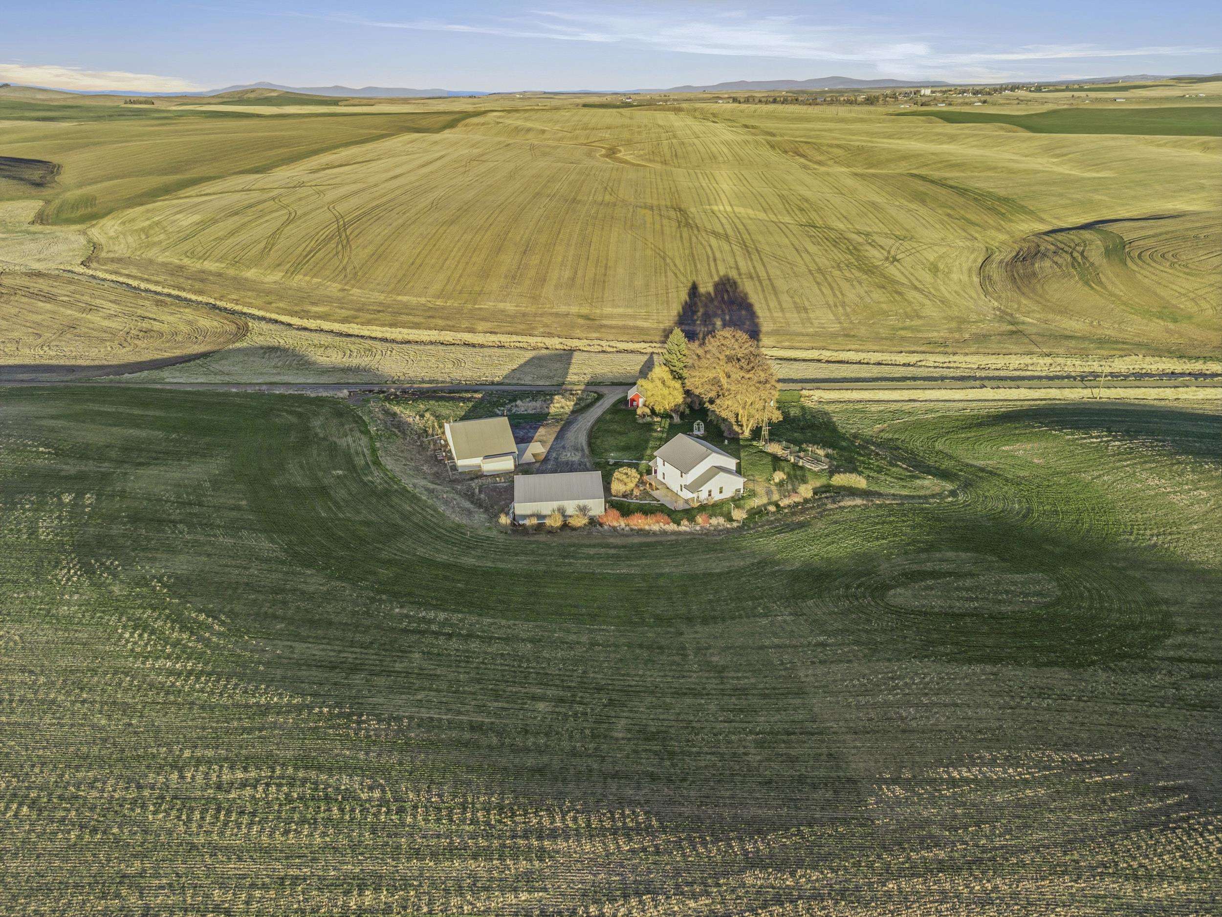 28805 Schumer Road North Rd - Photo 5