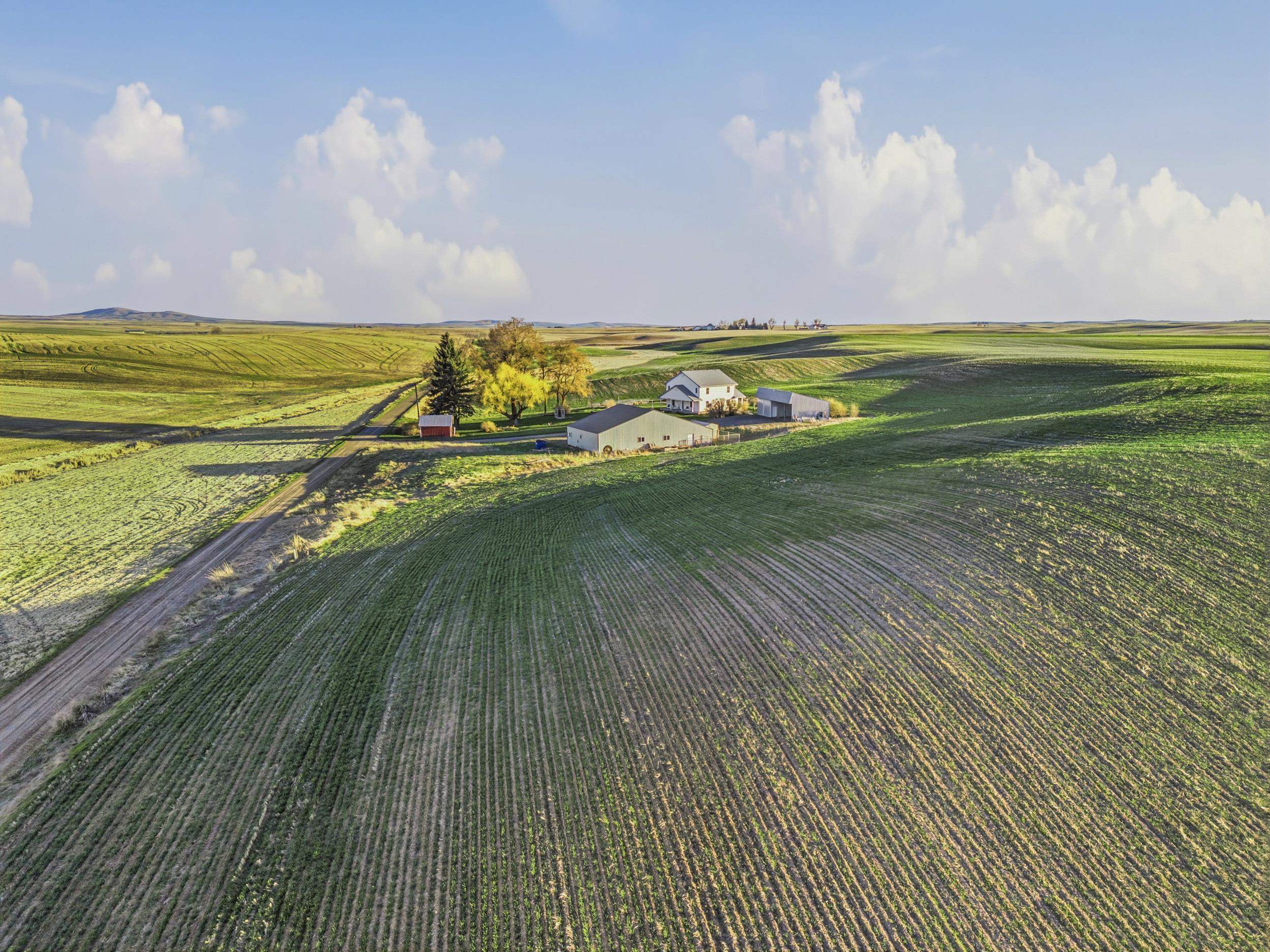 28805 Schumer Road North Rd - Photo 47