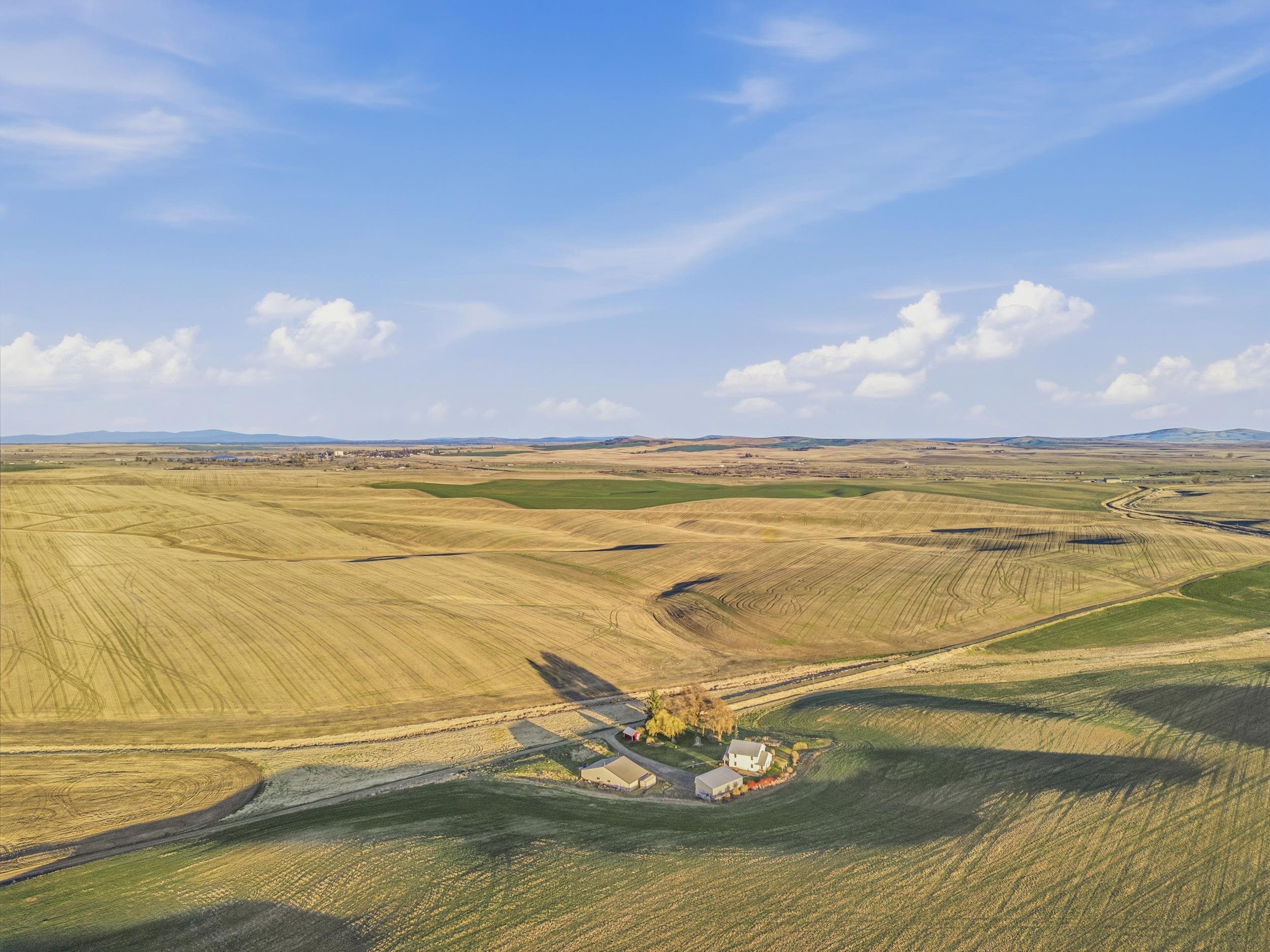 28805 Schumer Road North Rd - Photo 49