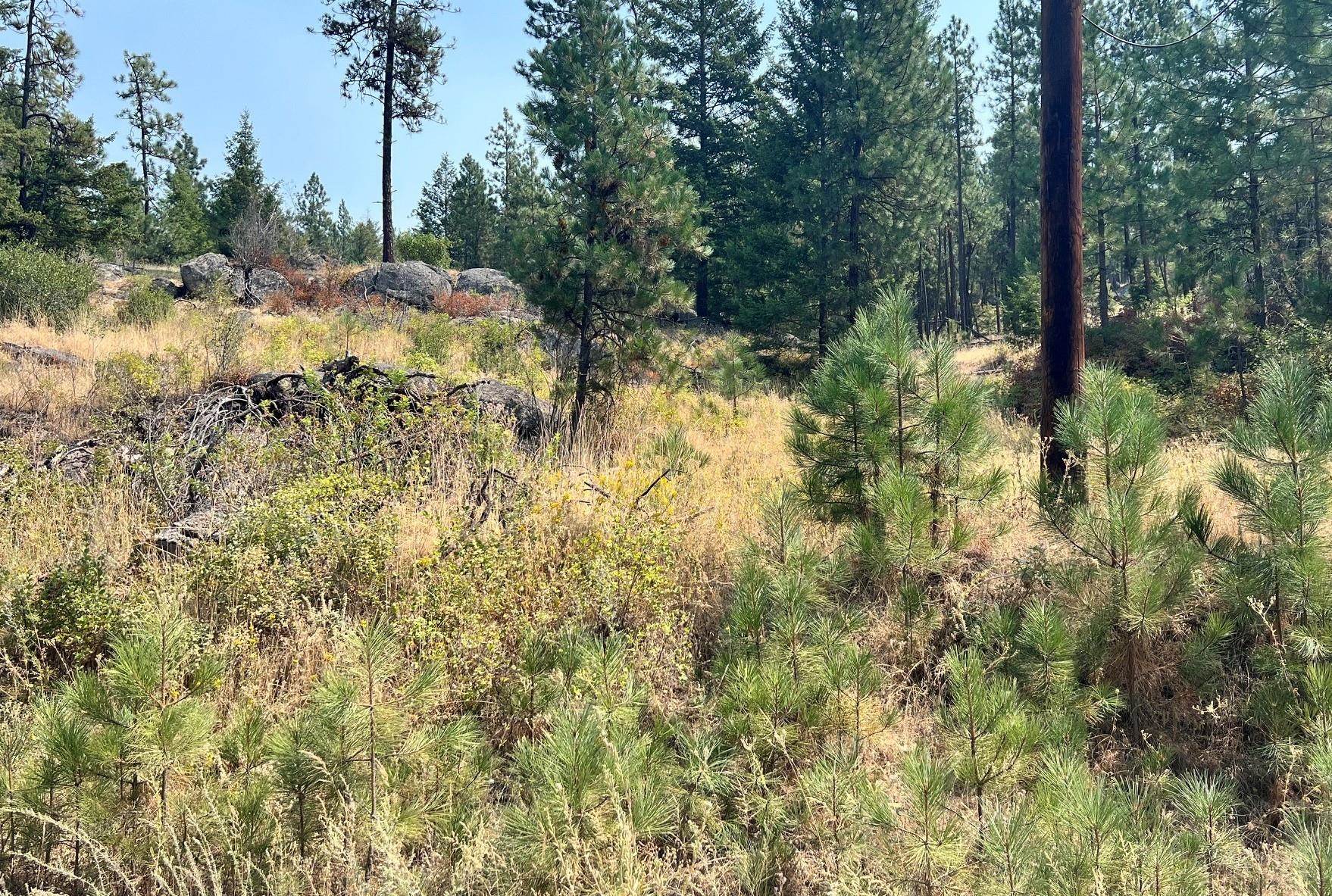 5687X Corkscrew Canyon Rd - Photo 2