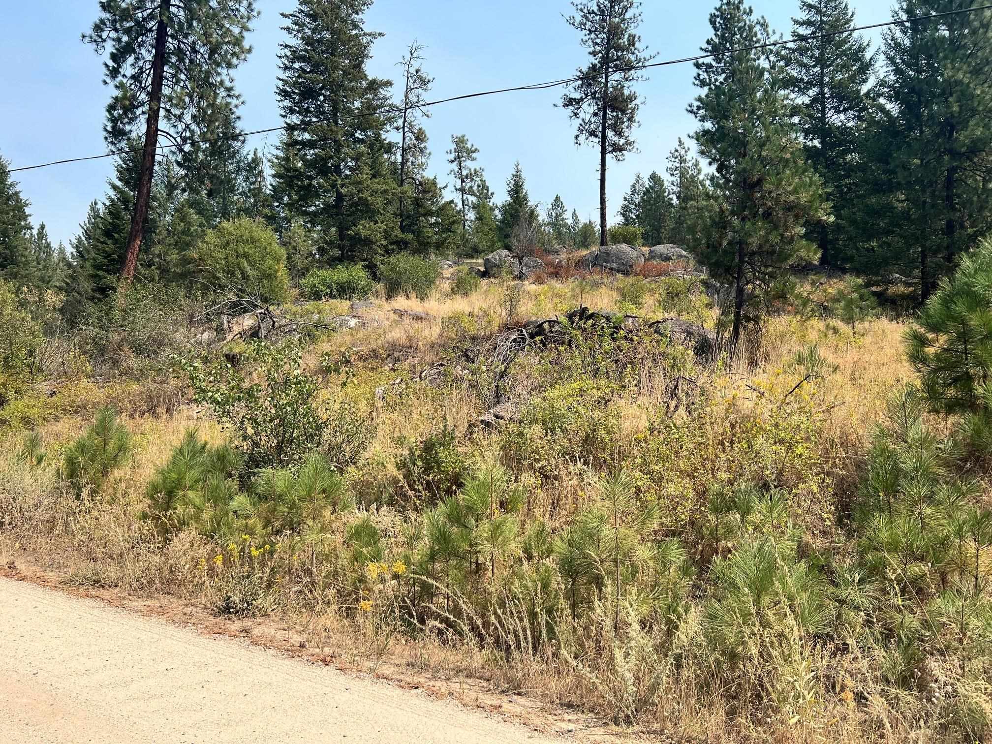 5687X Corkscrew Canyon Rd - Photo 1