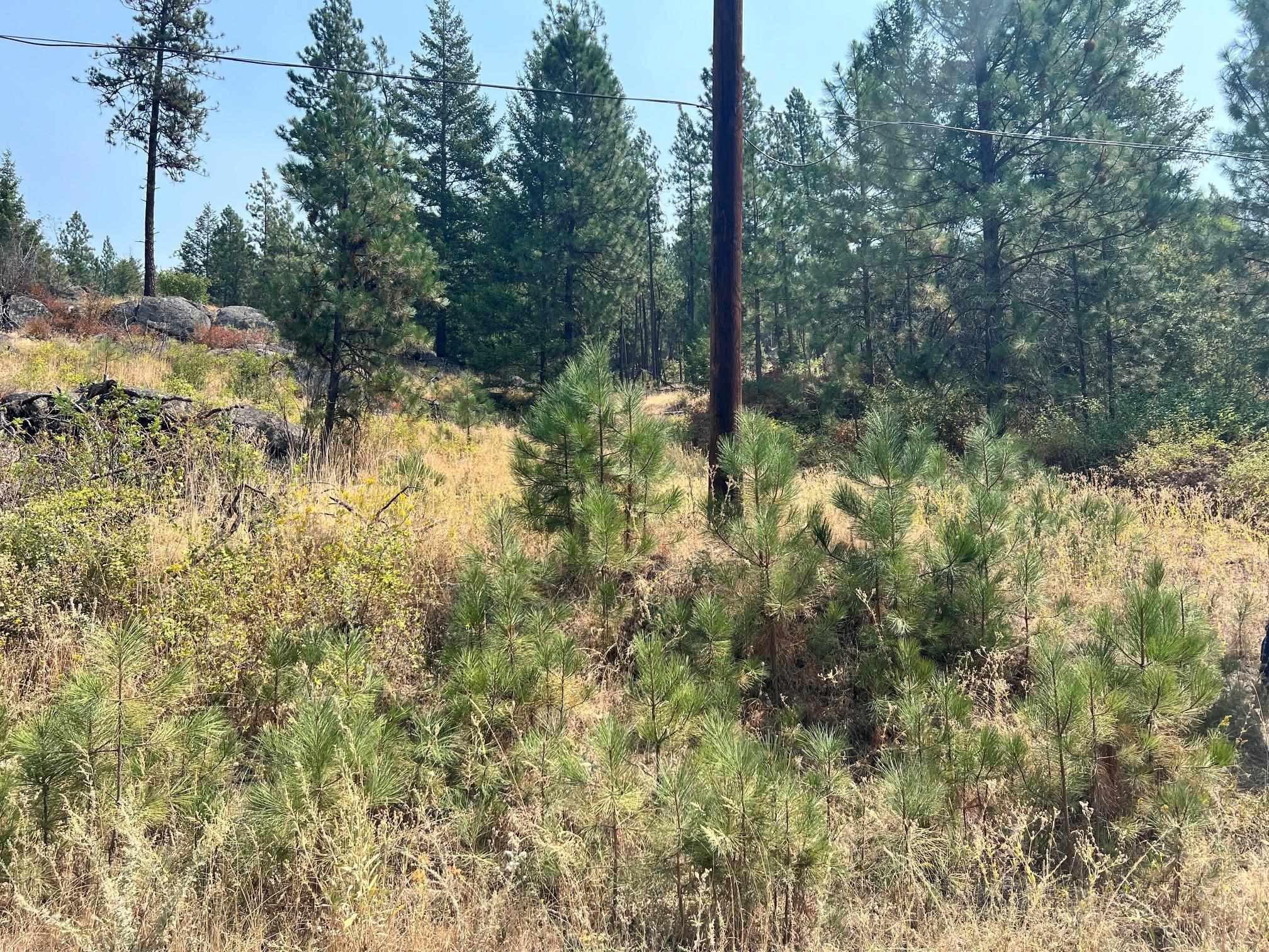 5687X Corkscrew Canyon Rd - Photo 12