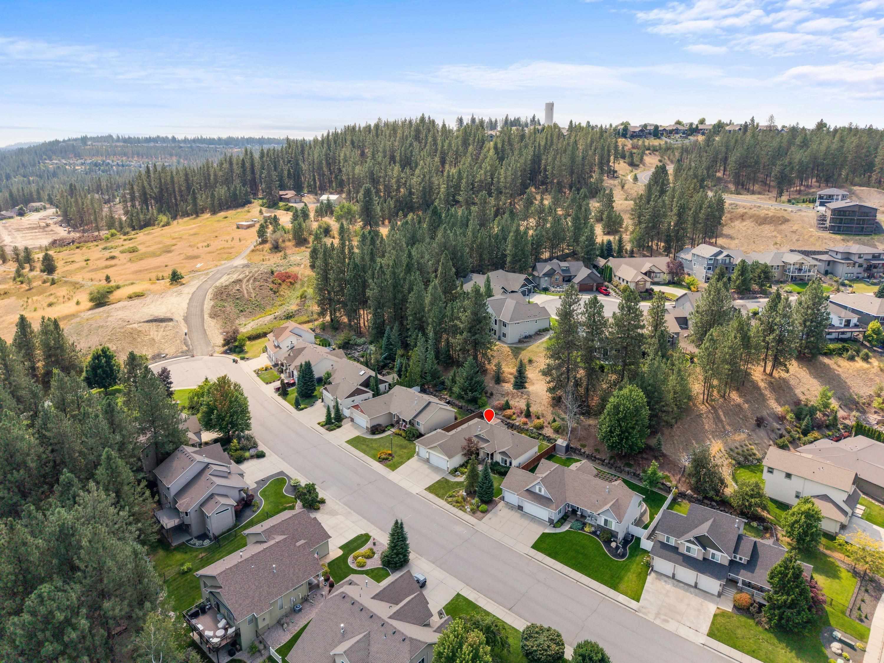 517 W Bolan Ave - Photo 48