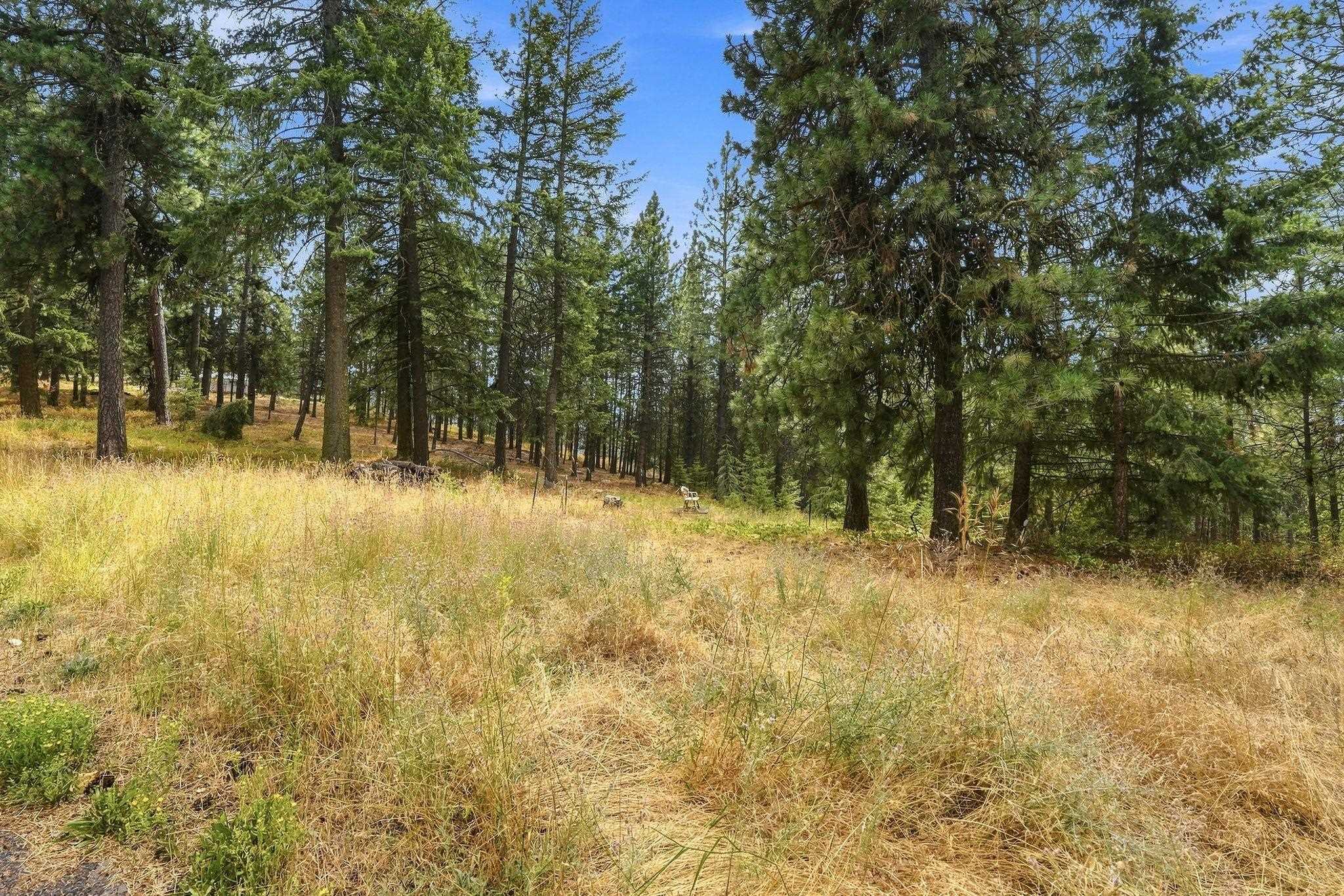 NKA S Park Ln - Photo 10