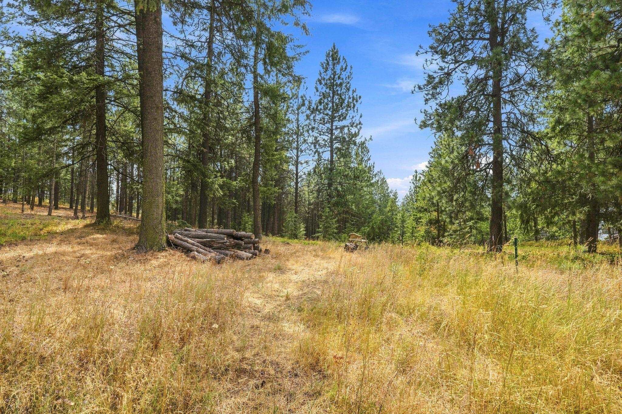 NKA S Park Ln - Photo 2