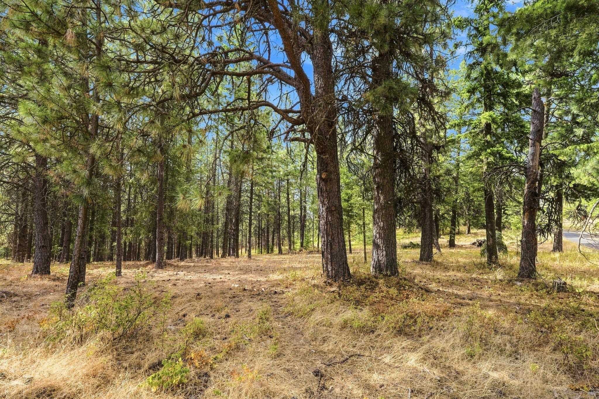 NKA S Park Ln - Photo 5