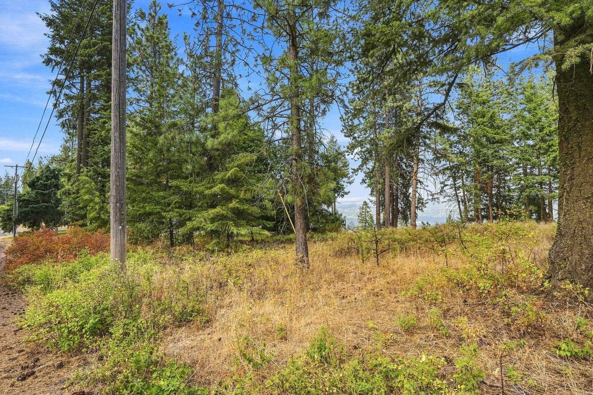 NKA S Park Ln - Photo 6