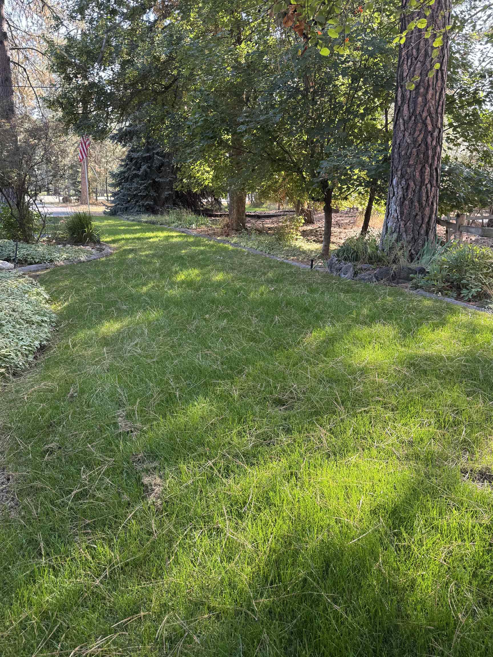 15123 N Little Spokane Dr - Photo 4