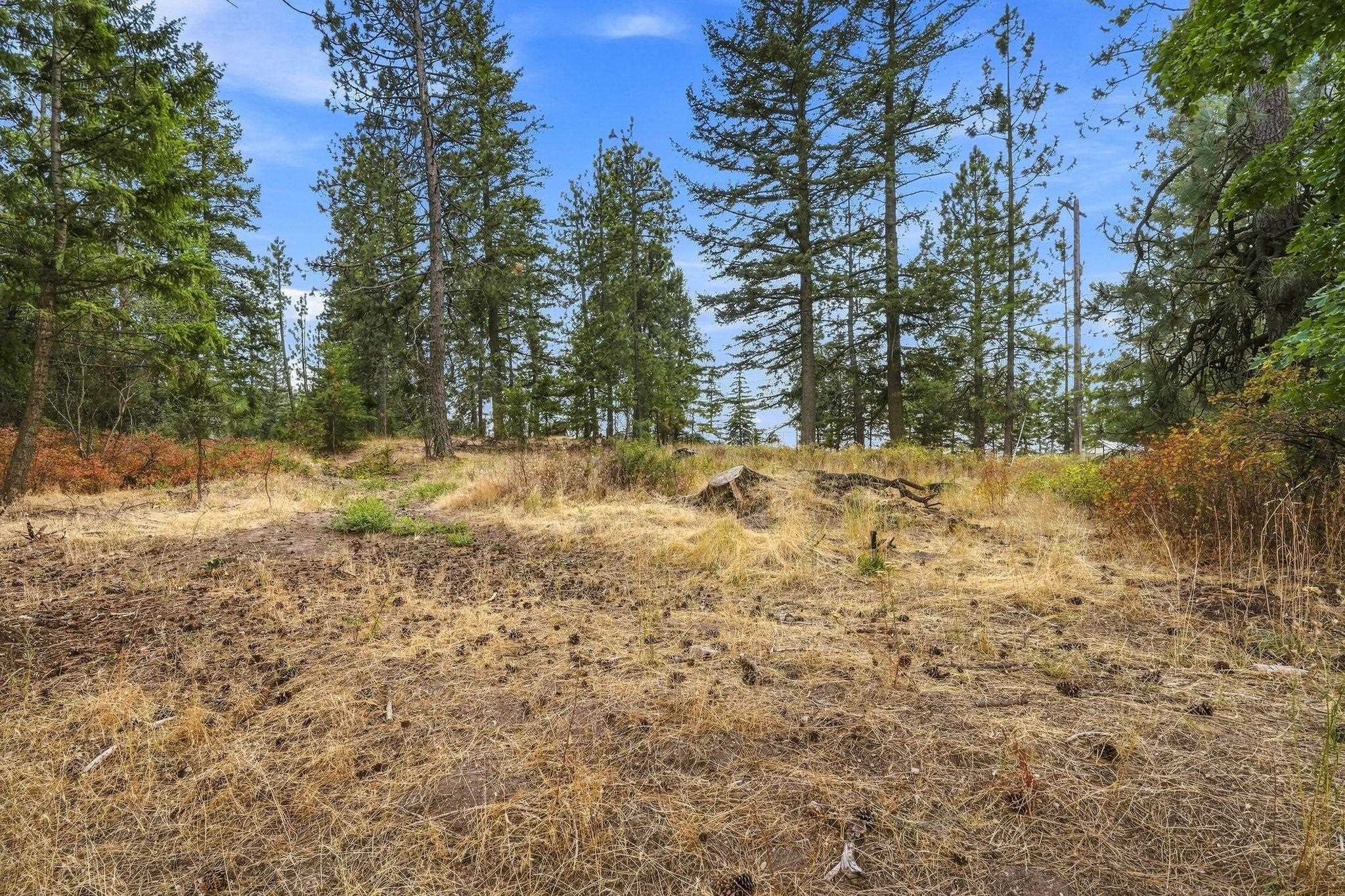NKA S Park Ln - Photo 7