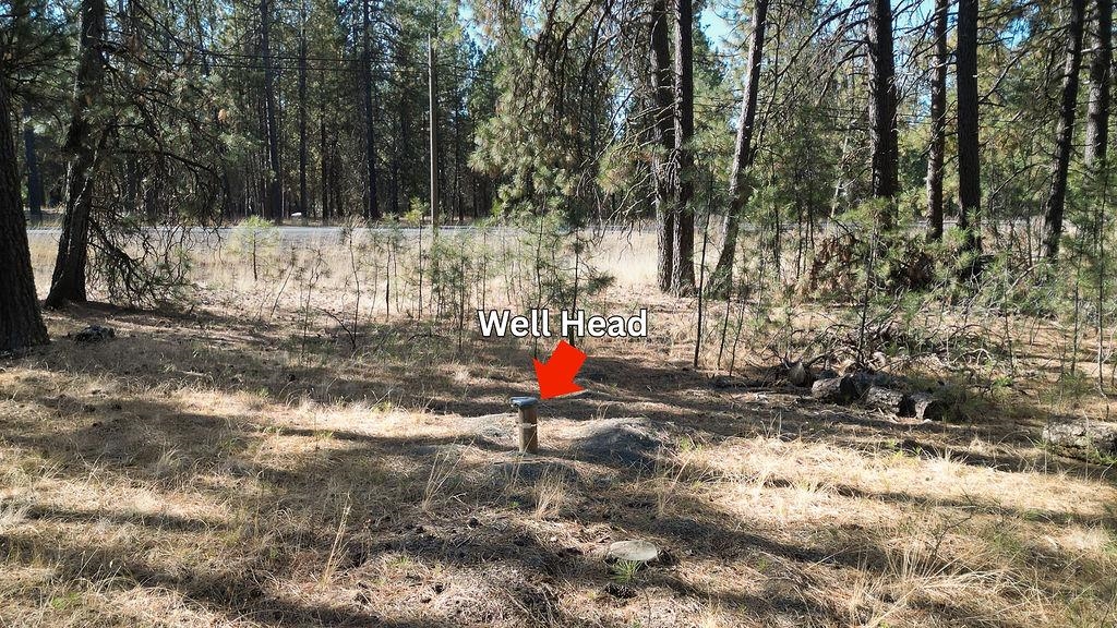 1212 S Brooks Rd - Photo 3