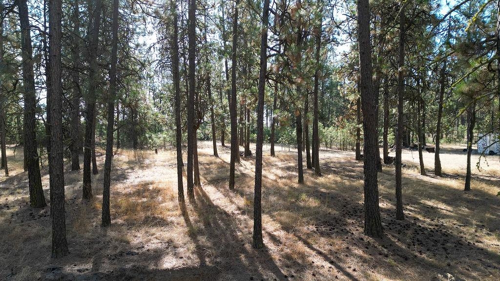 1212 S Brooks Rd - Photo 5