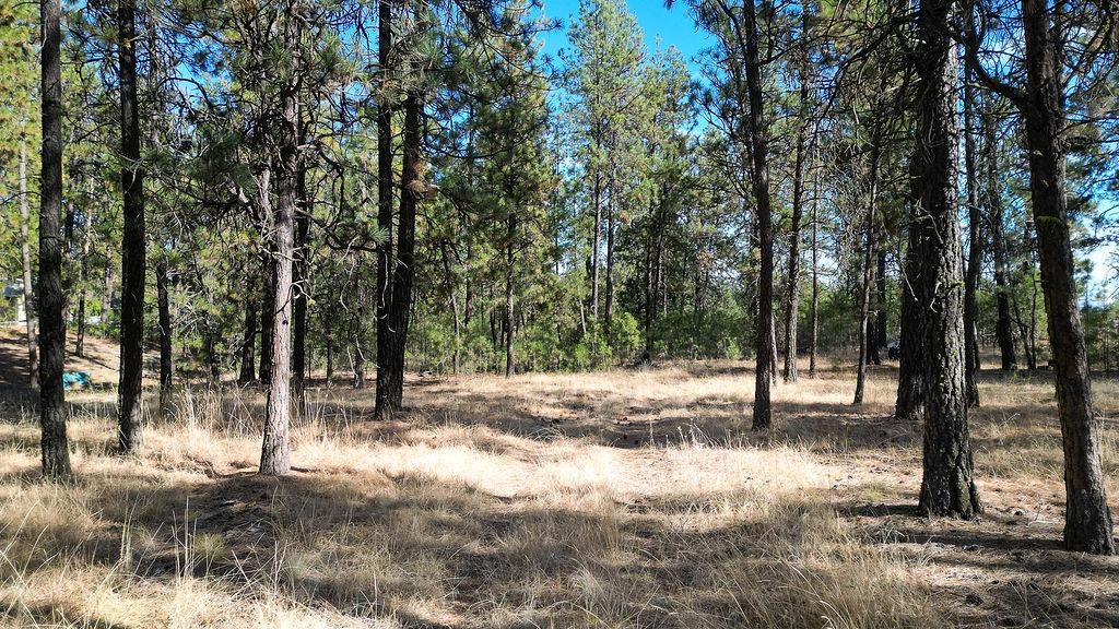 1212 S Brooks Rd - Photo 8