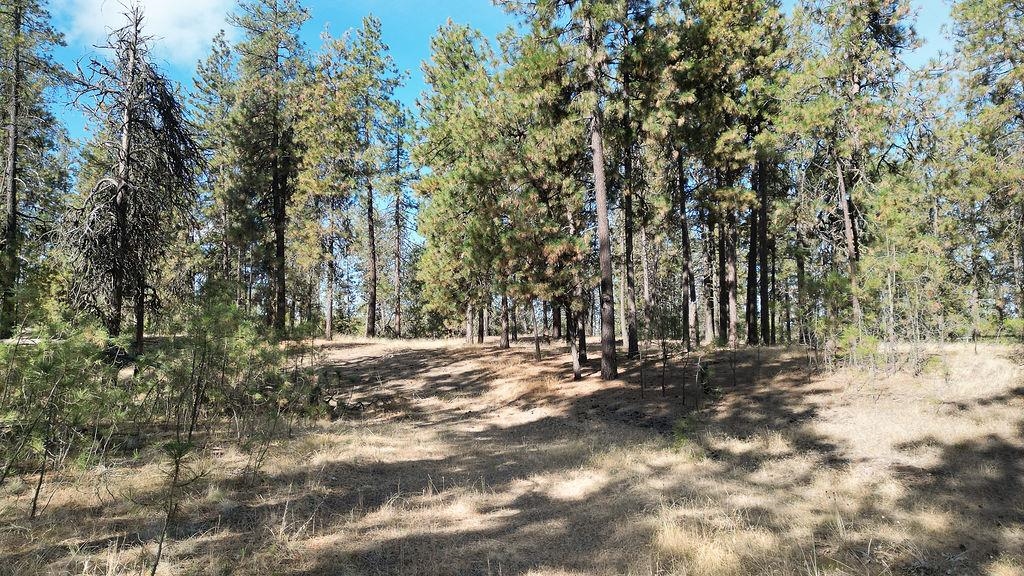 1212 S Brooks Rd - Photo 13