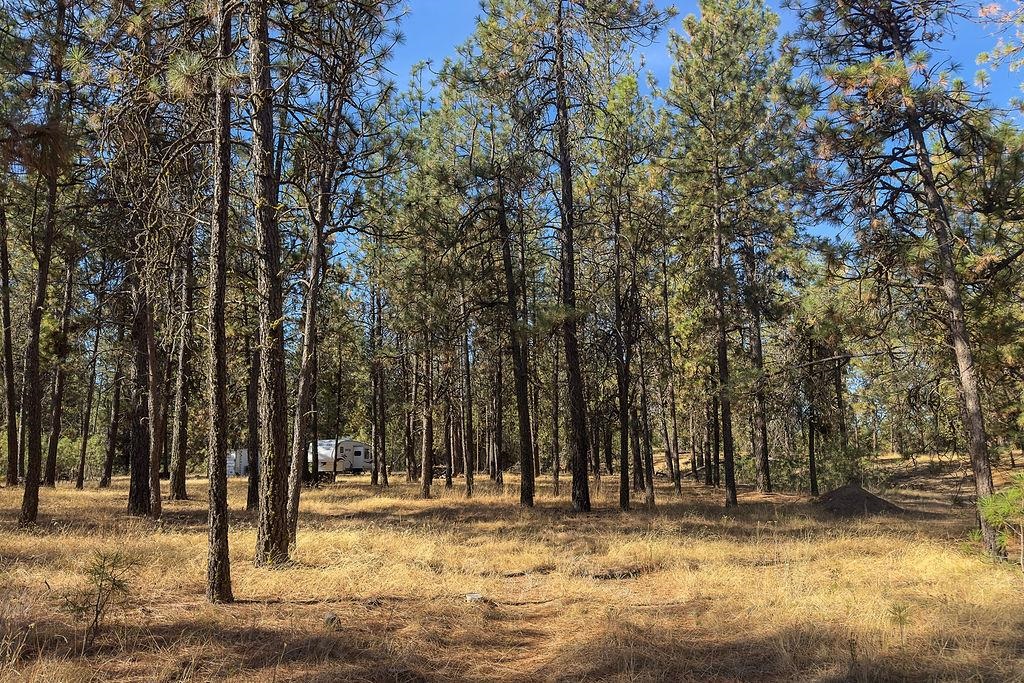1212 S Brooks Rd - Photo 14