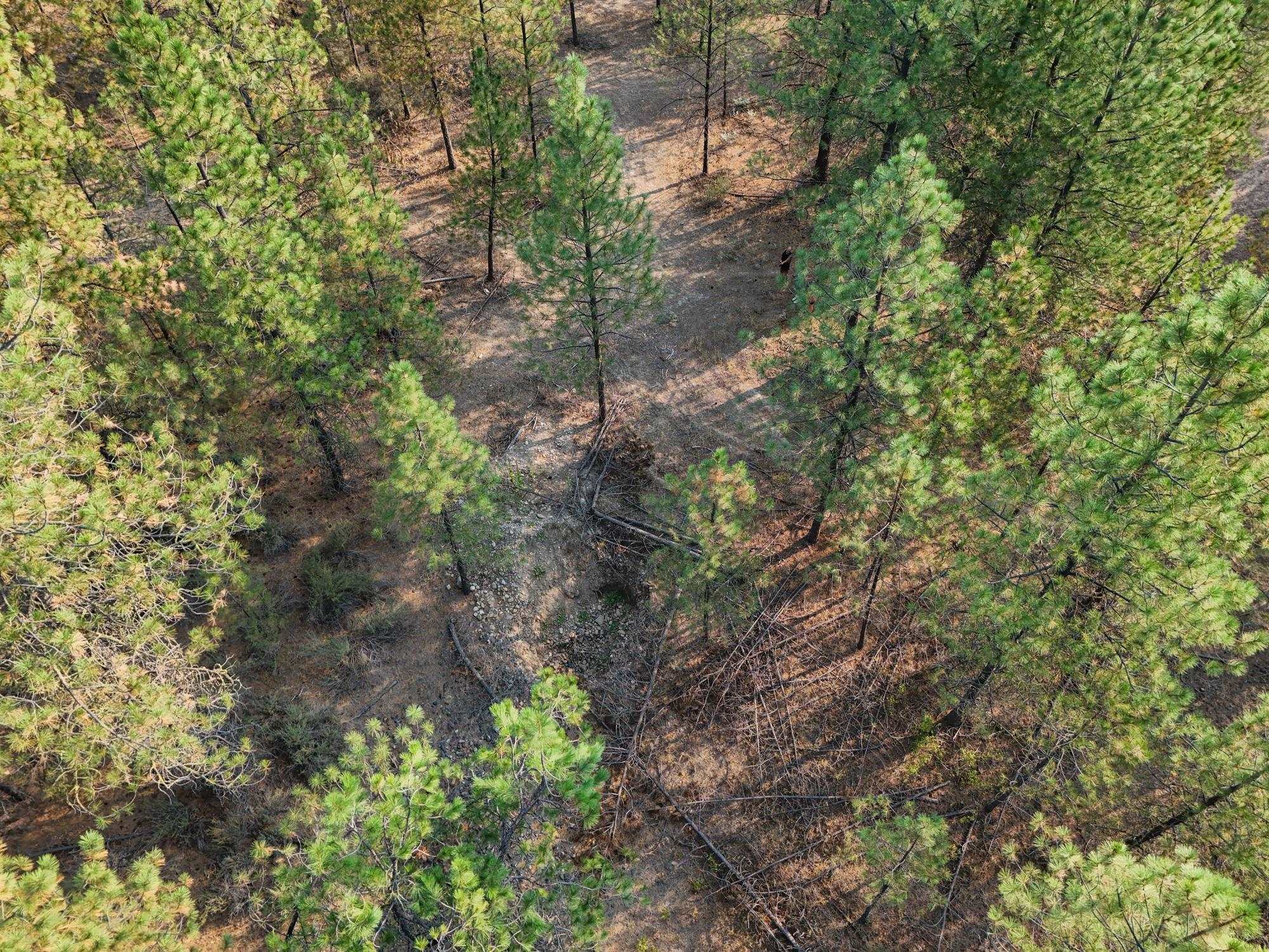 5812 Martha Boardman Rd - Photo 10