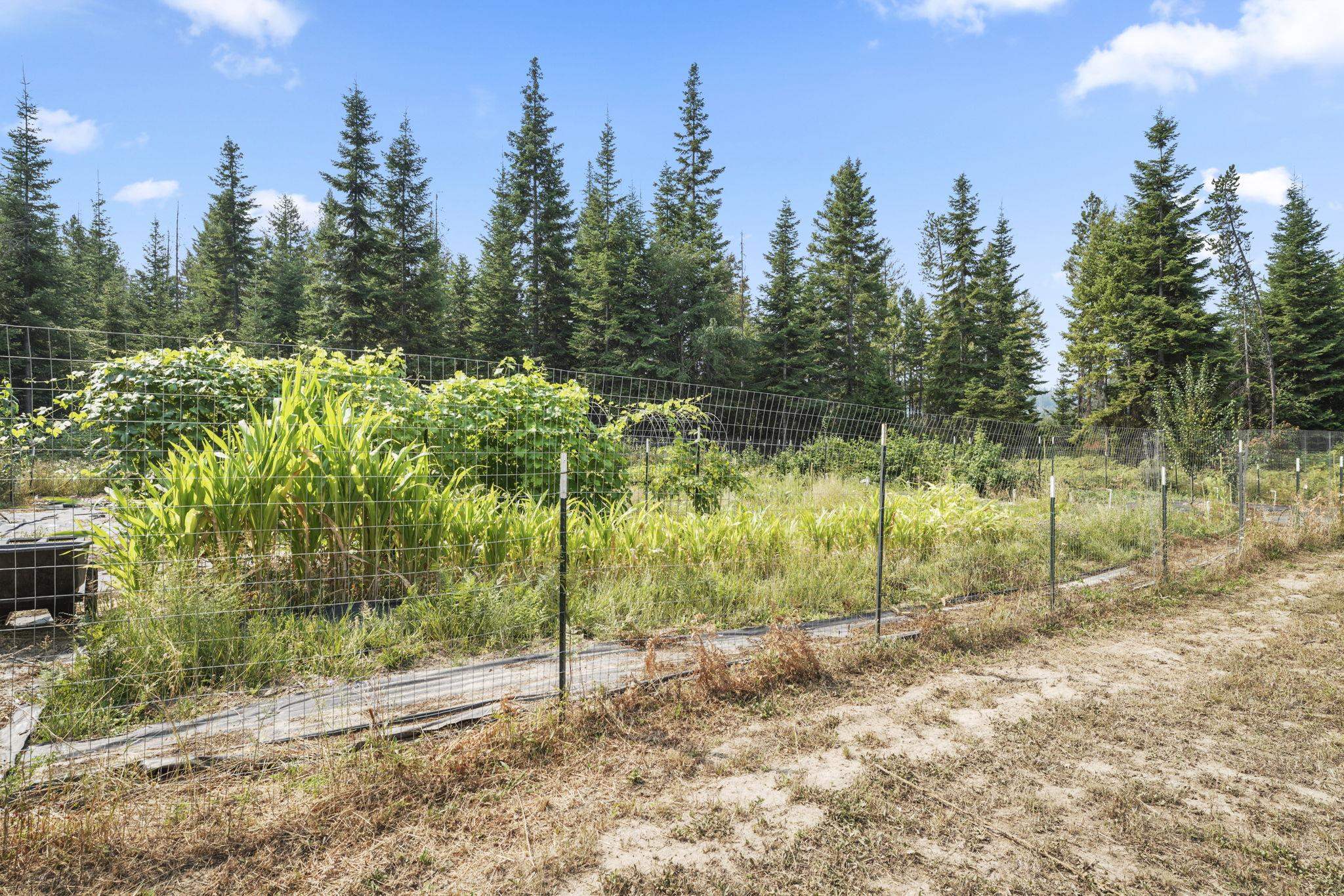 150 Apling Ln - Photo 43