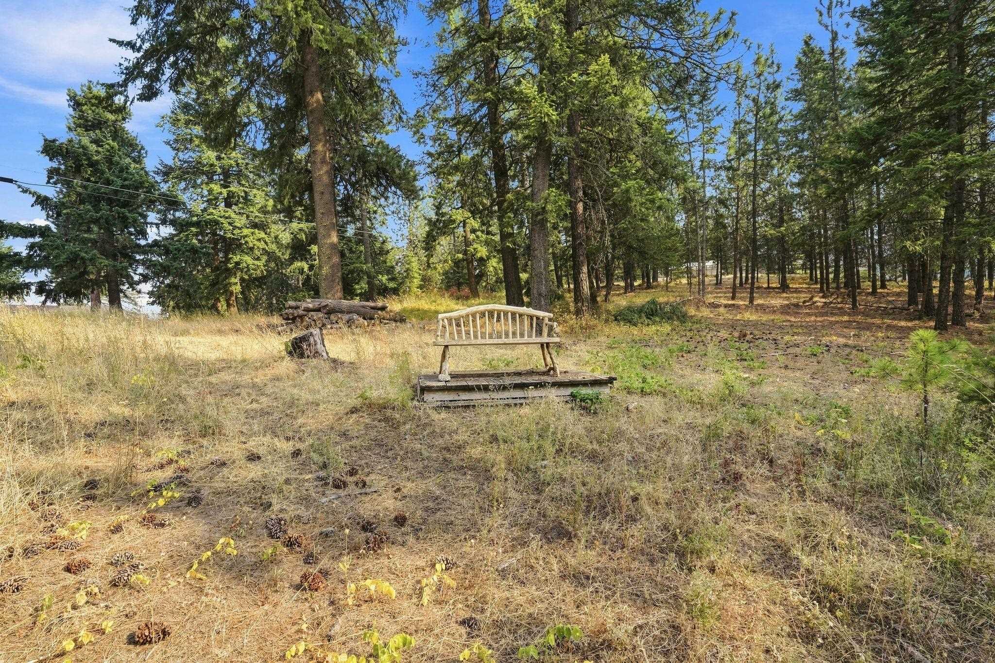 NKA S Park Ln - Photo 9
