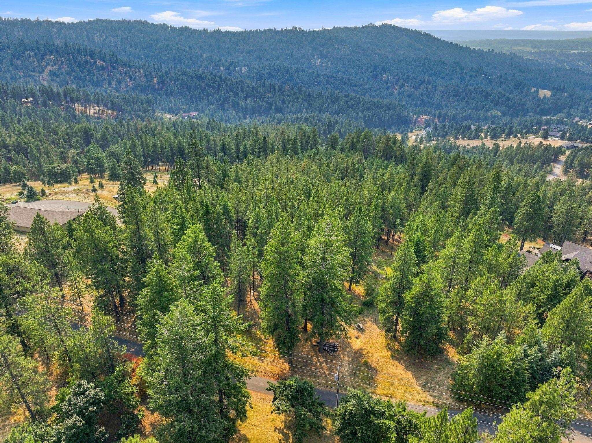 NKA S Park Ln - Photo 1