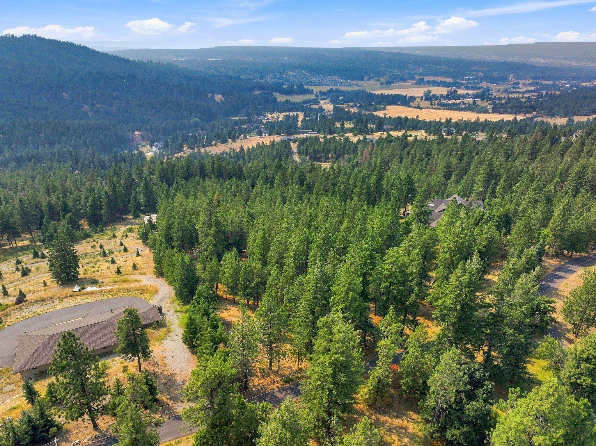 NKA S Park Ln - Photo 15
