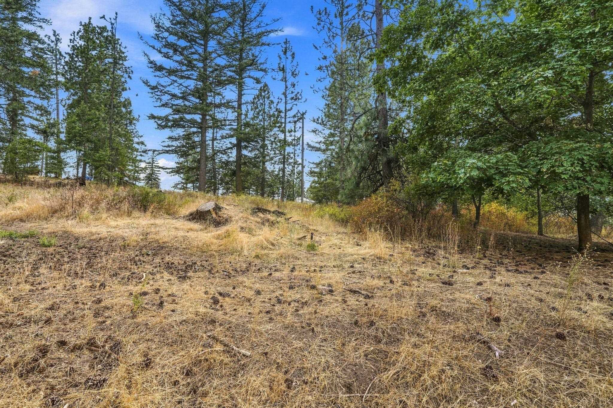 5105 S Park Ln - Photo 45