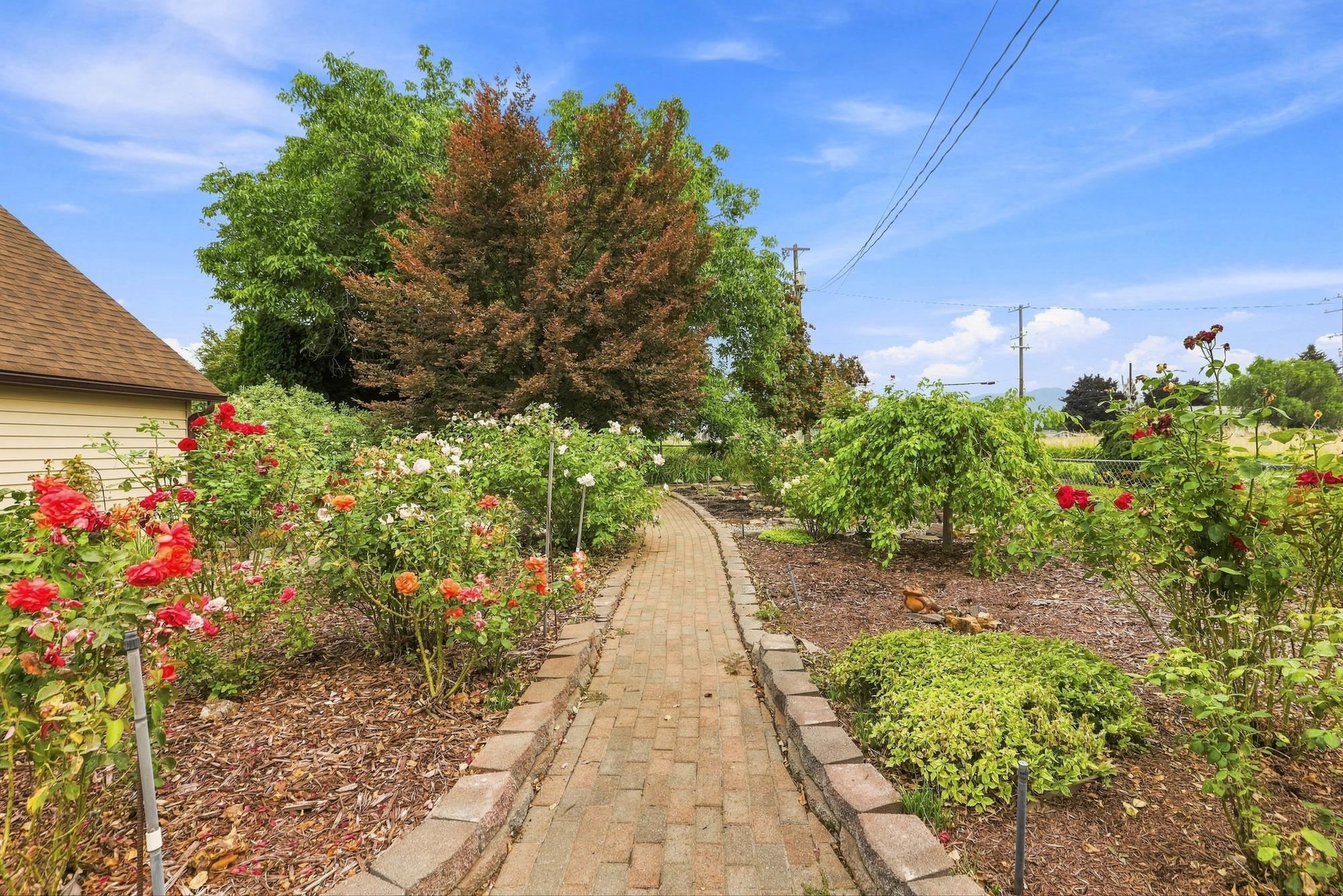 25011 E Kildea Ave - Photo 37
