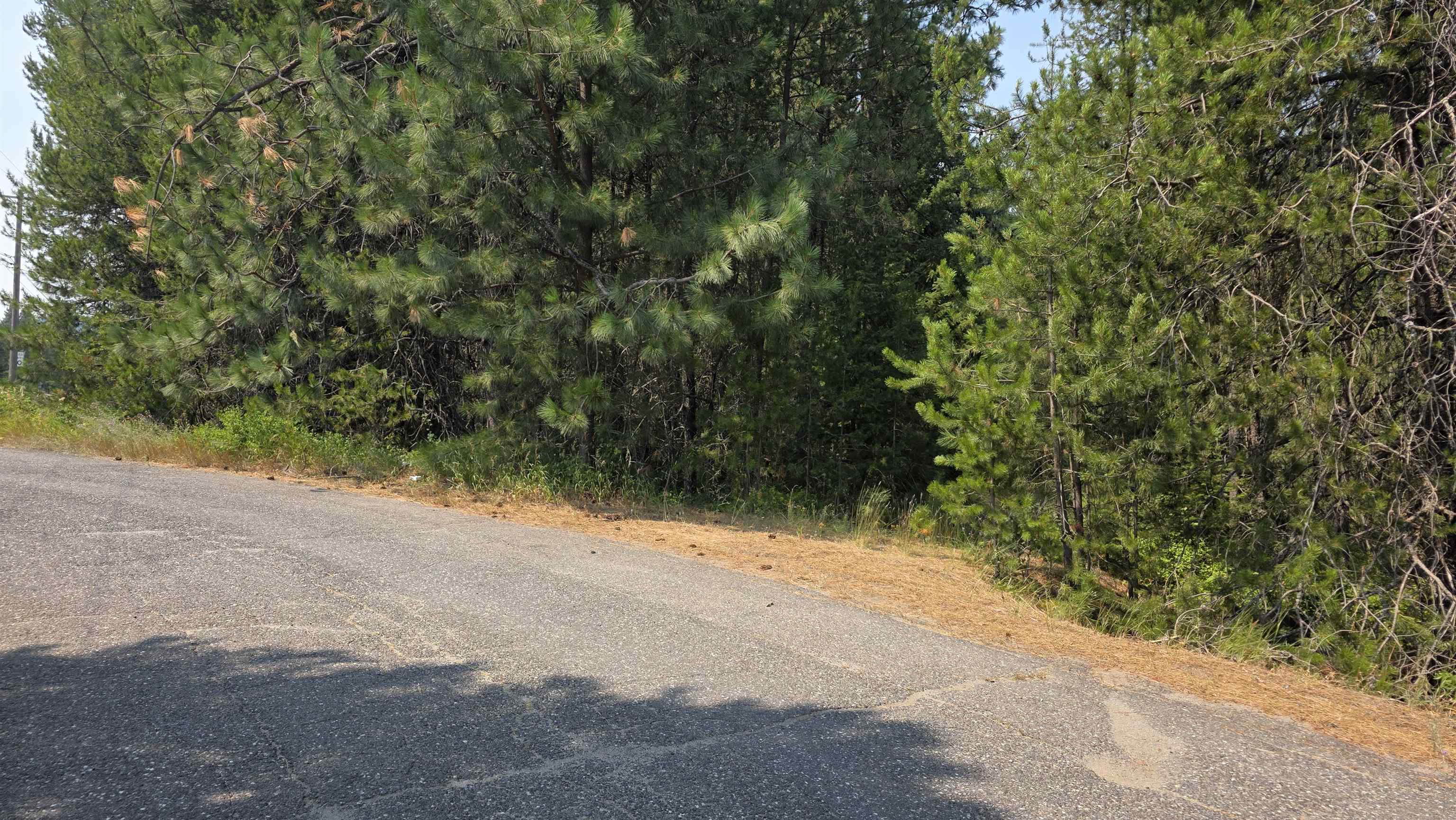 13 Lakeside Dr - Photo 4