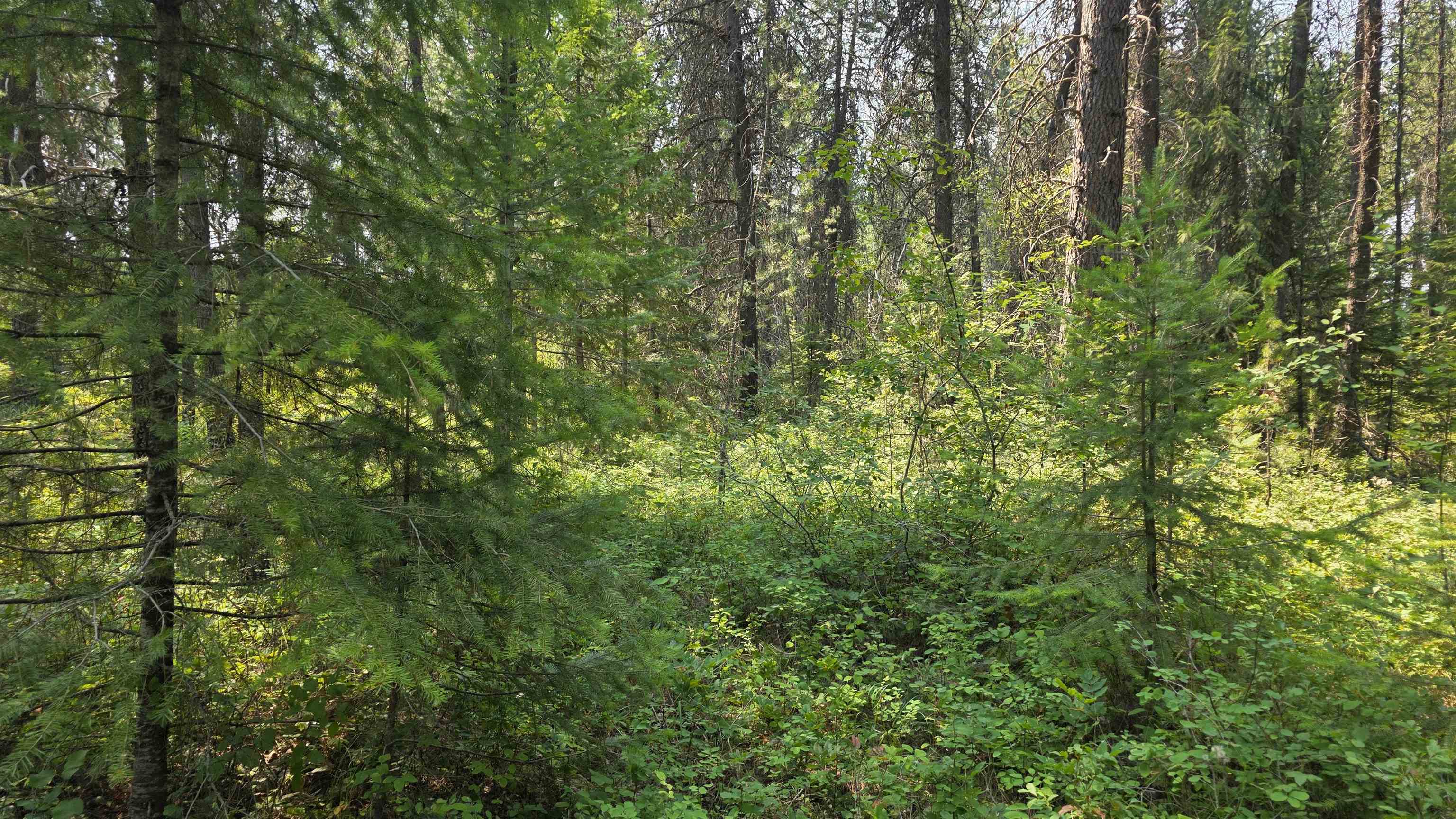 13 Lakeside Dr - Photo 14