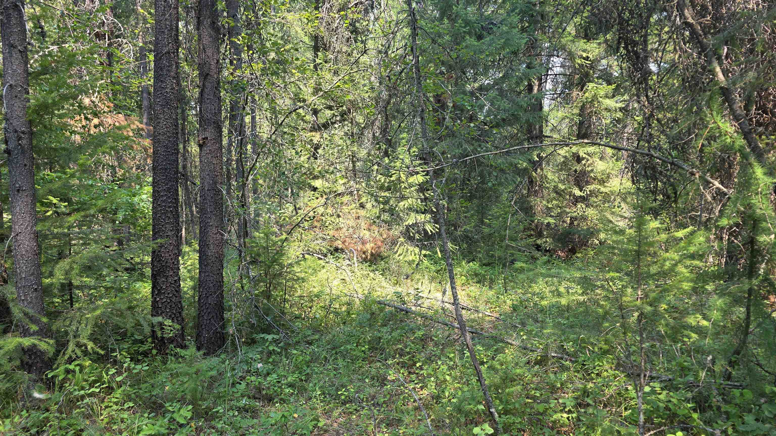 13 Lakeside Dr - Photo 11