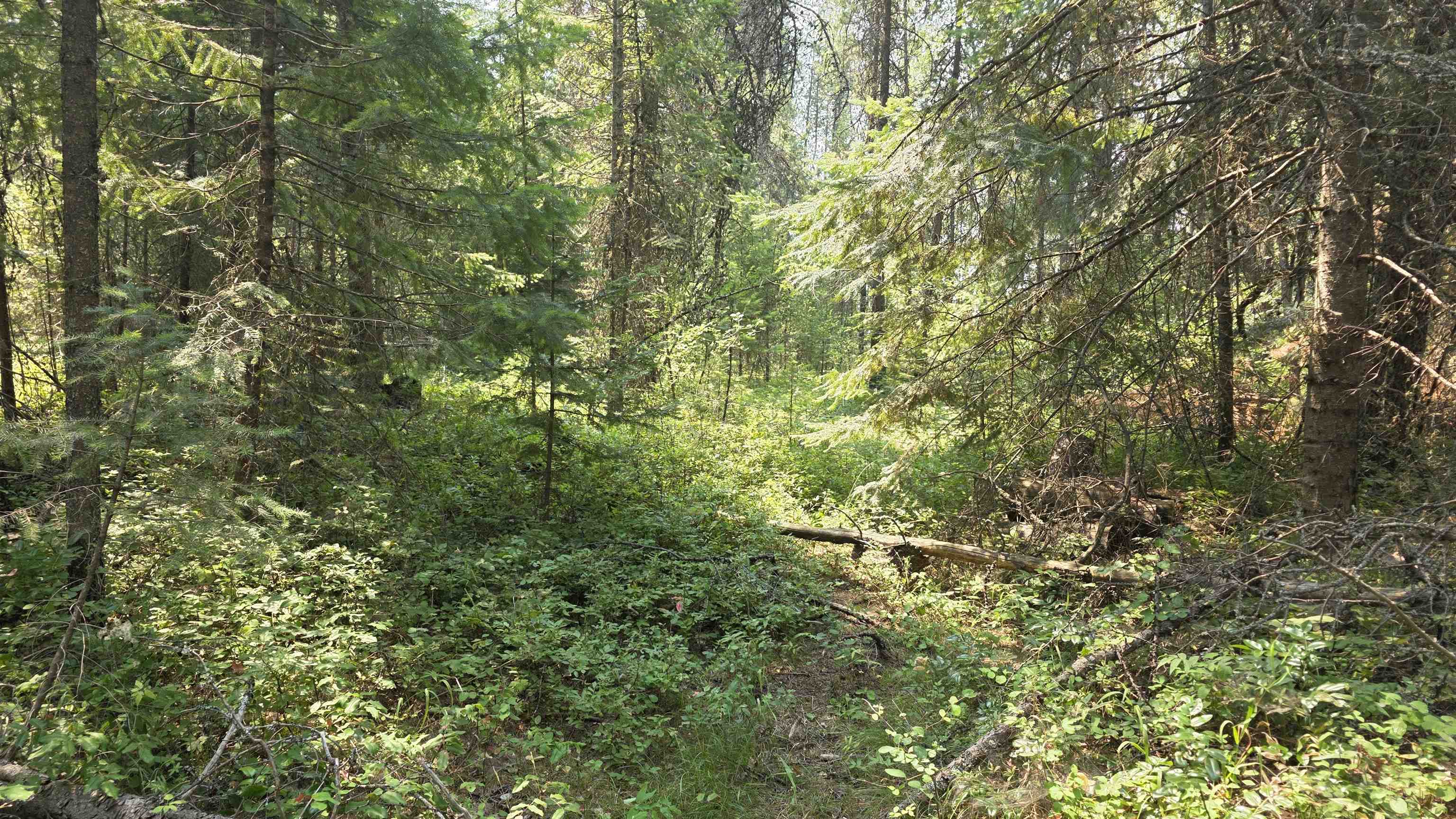 13 Lakeside Dr - Photo 20