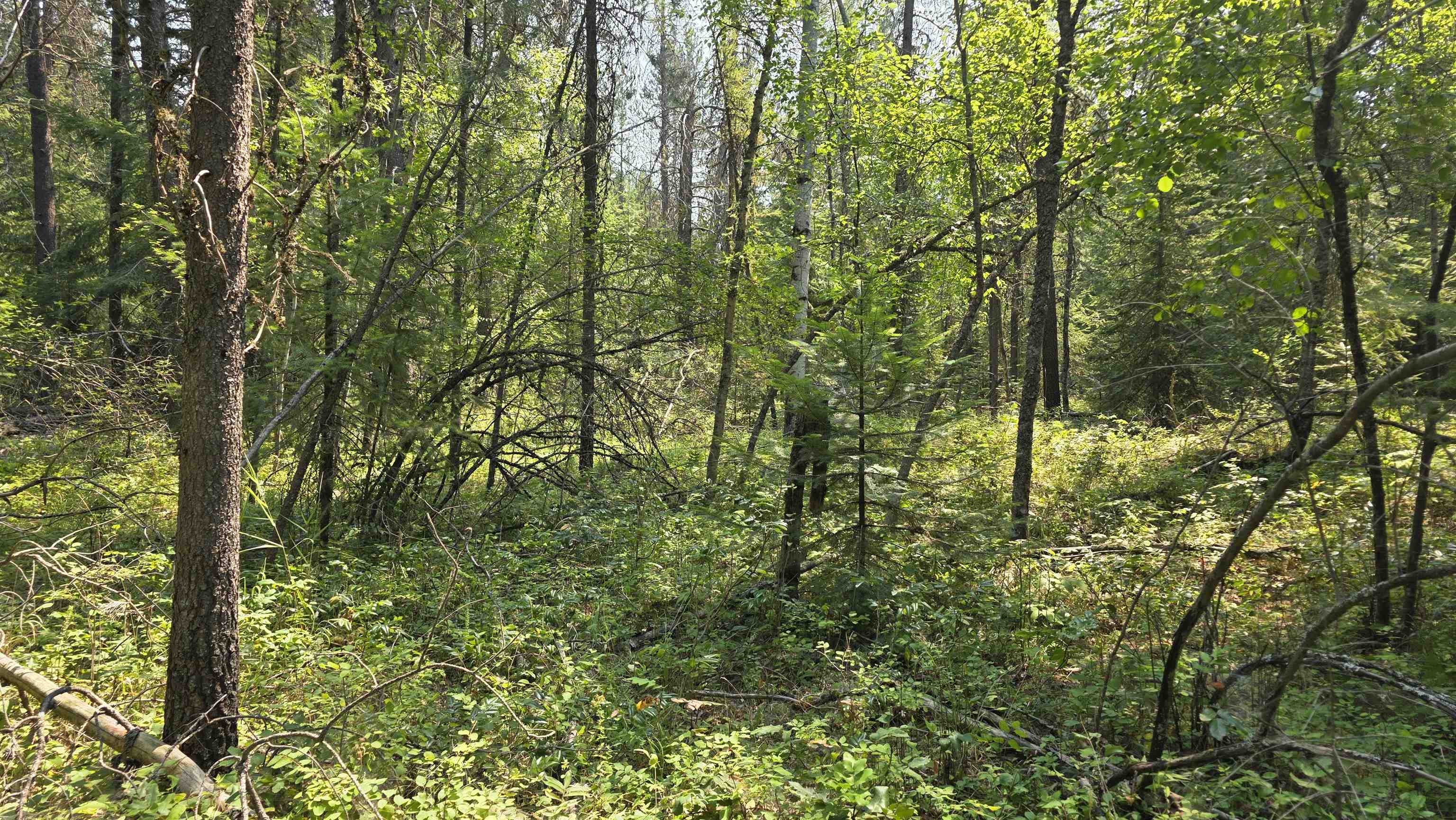 13 Lakeside Dr - Photo 21