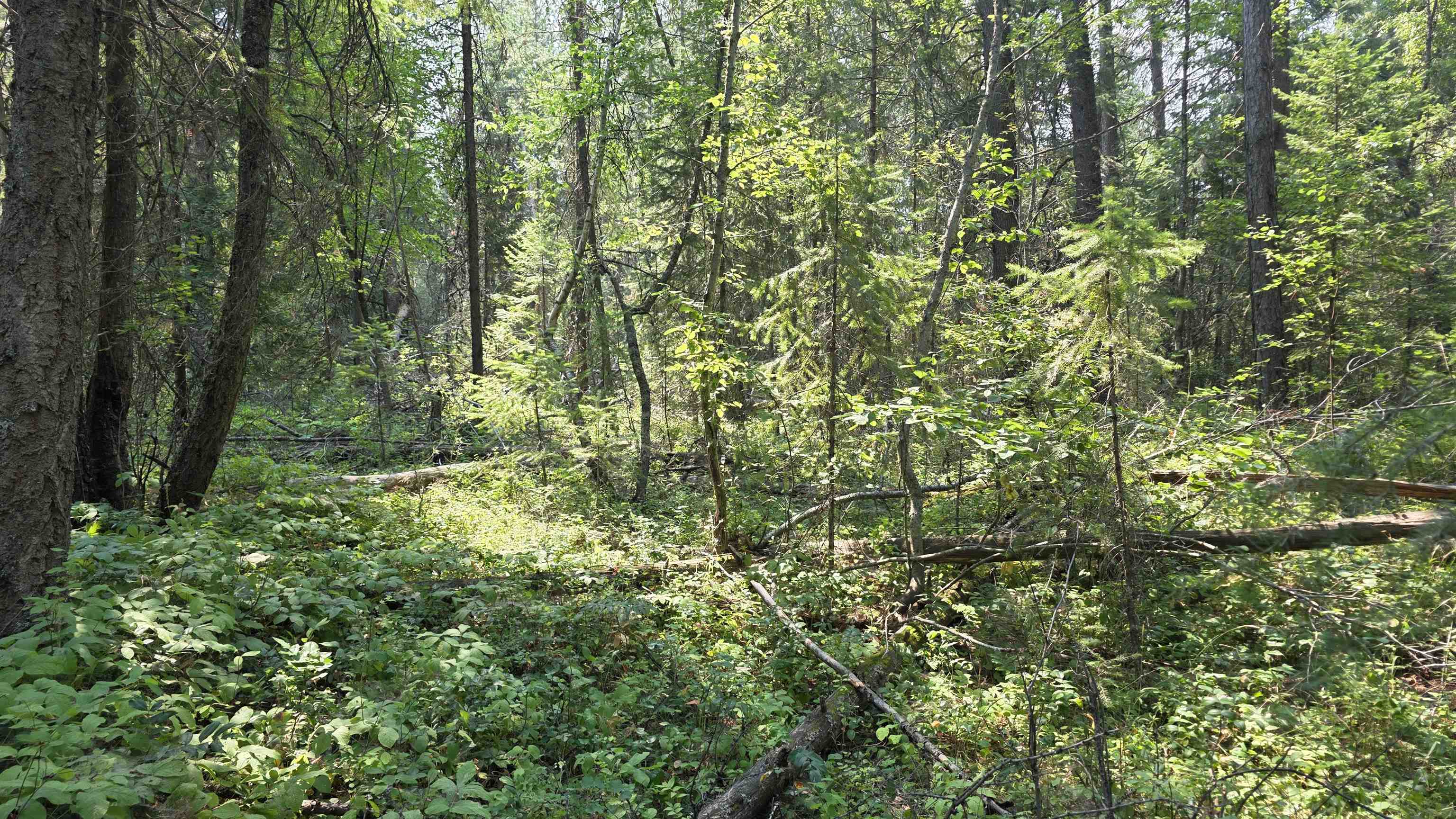 13 Lakeside Dr - Photo 22