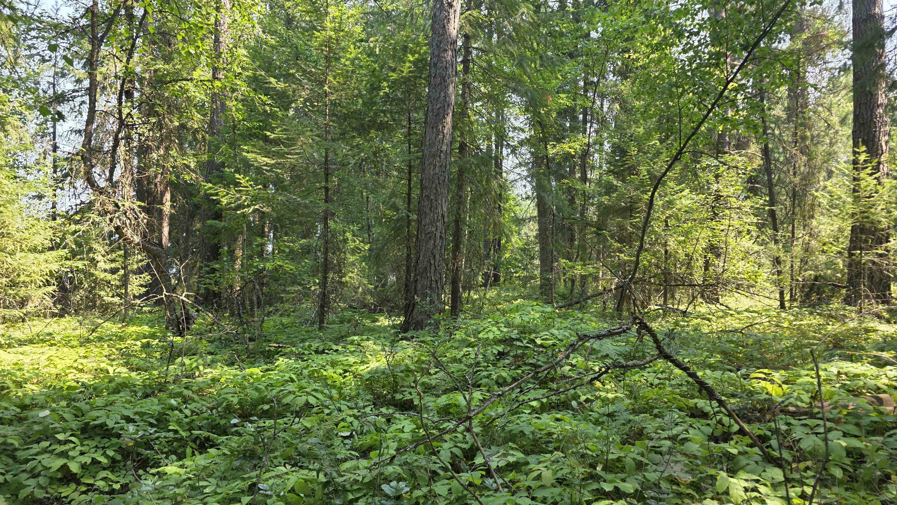 13 Lakeside Dr - Photo 23
