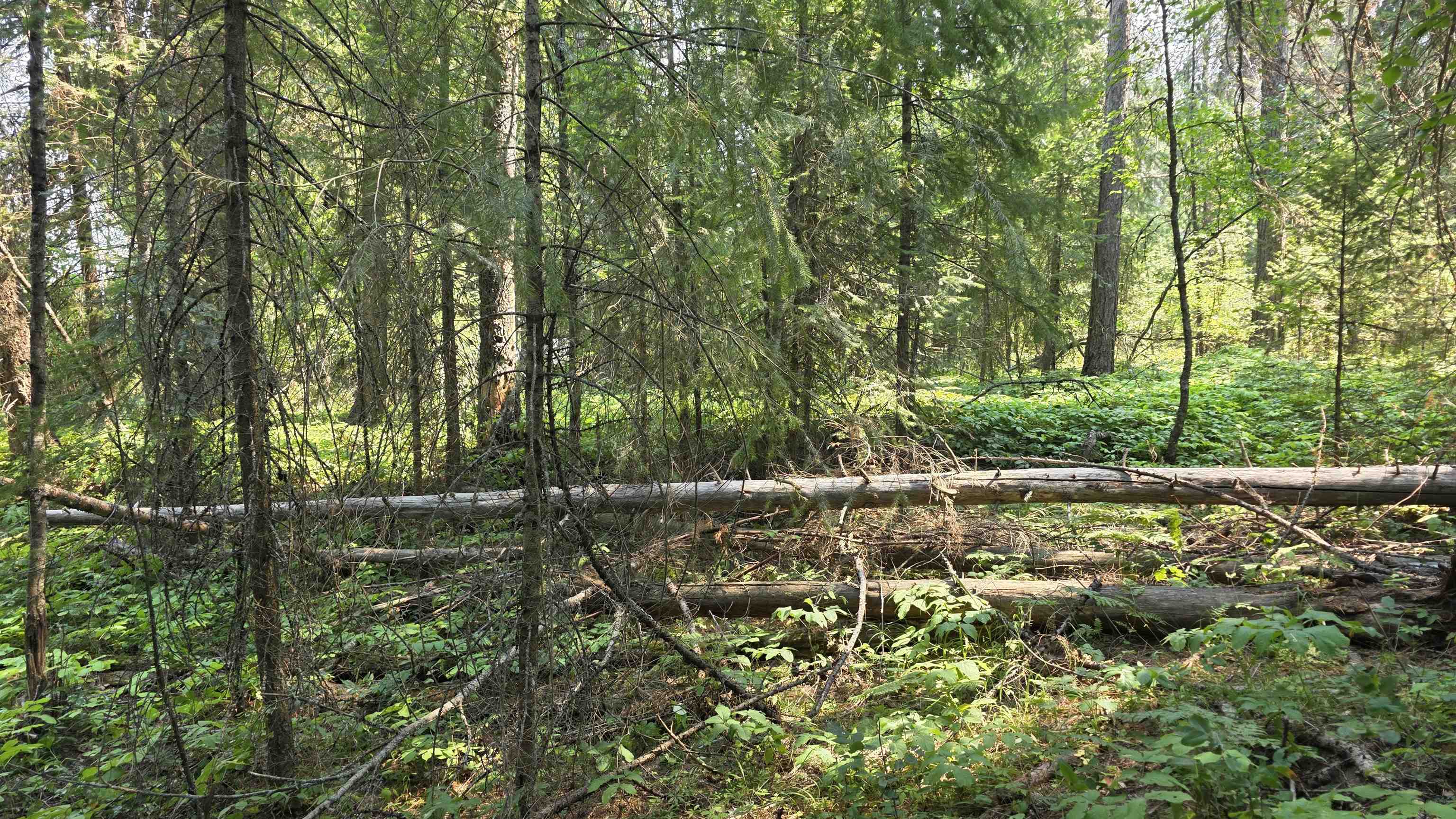 13 Lakeside Dr - Photo 24