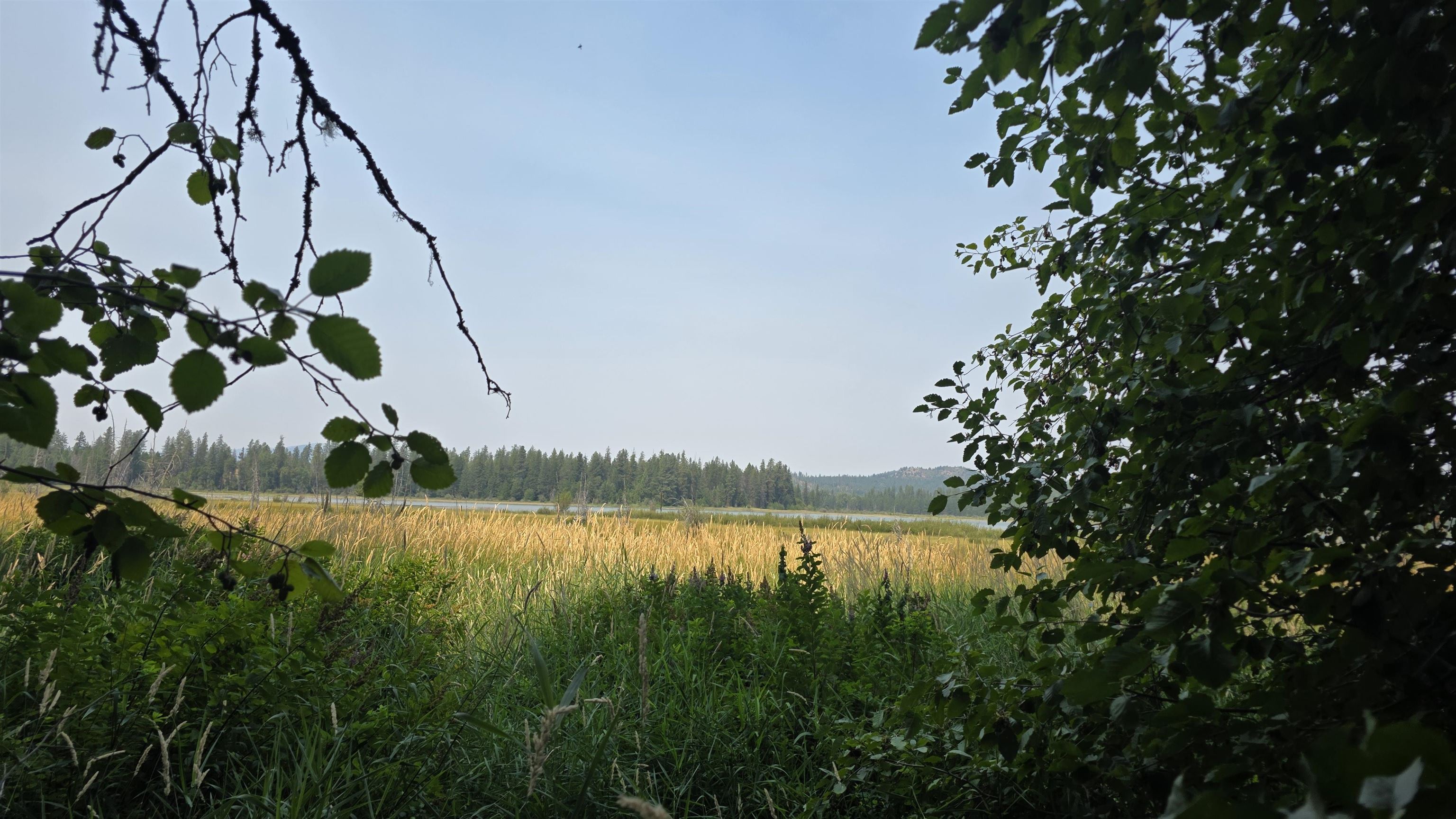 13 Lakeside Dr - Photo 5