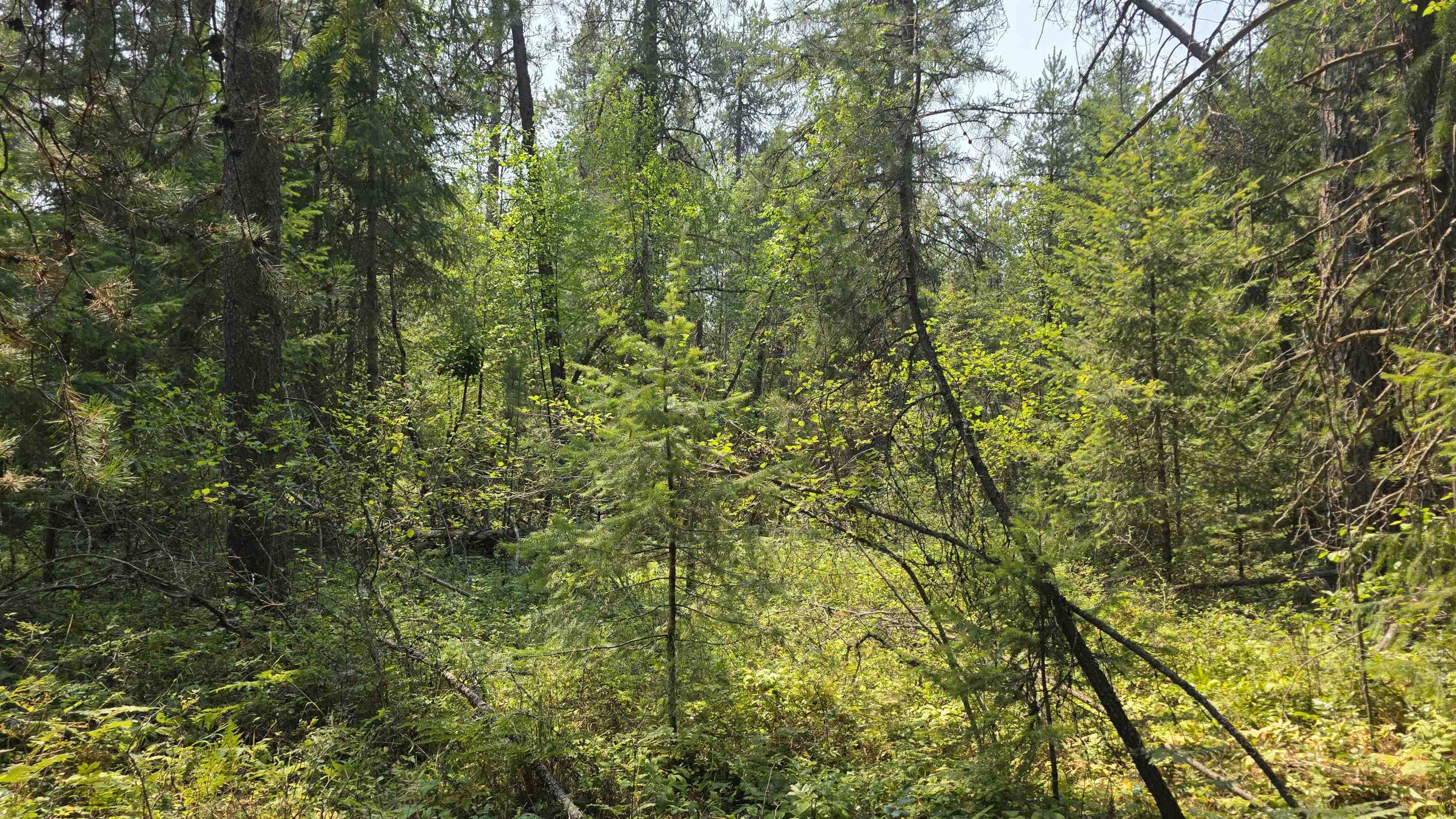 13 Lakeside Dr - Photo 31