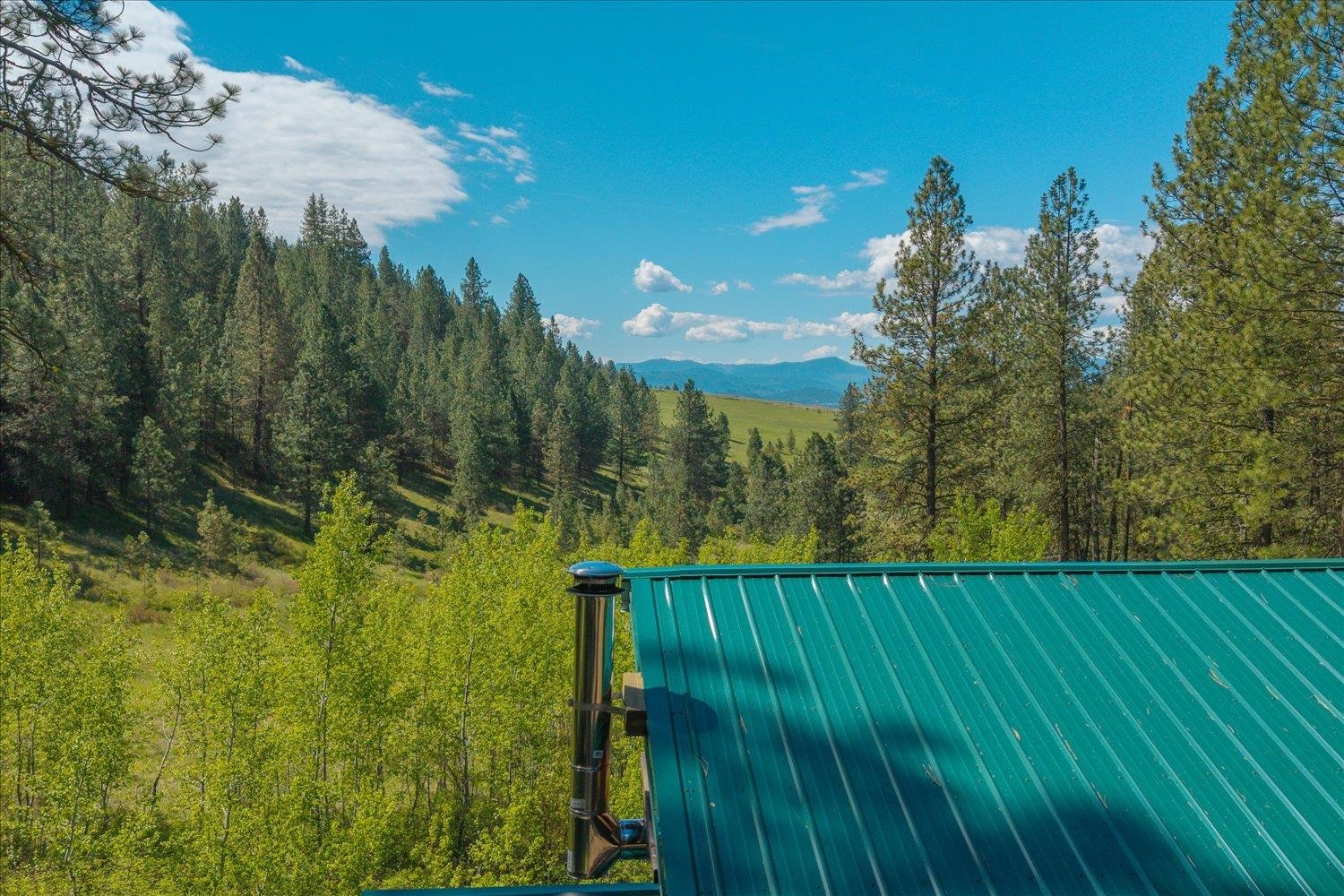 3350 Daisy Mine Rd - Photo 27