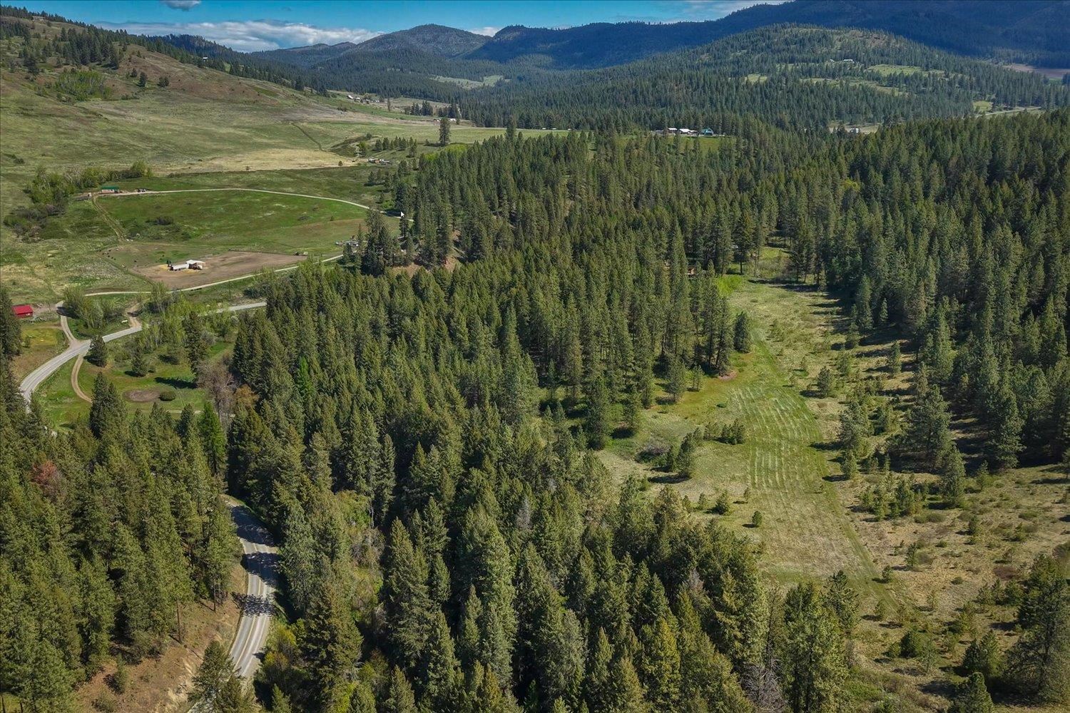3350 Daisy Mine Rd - Photo 31