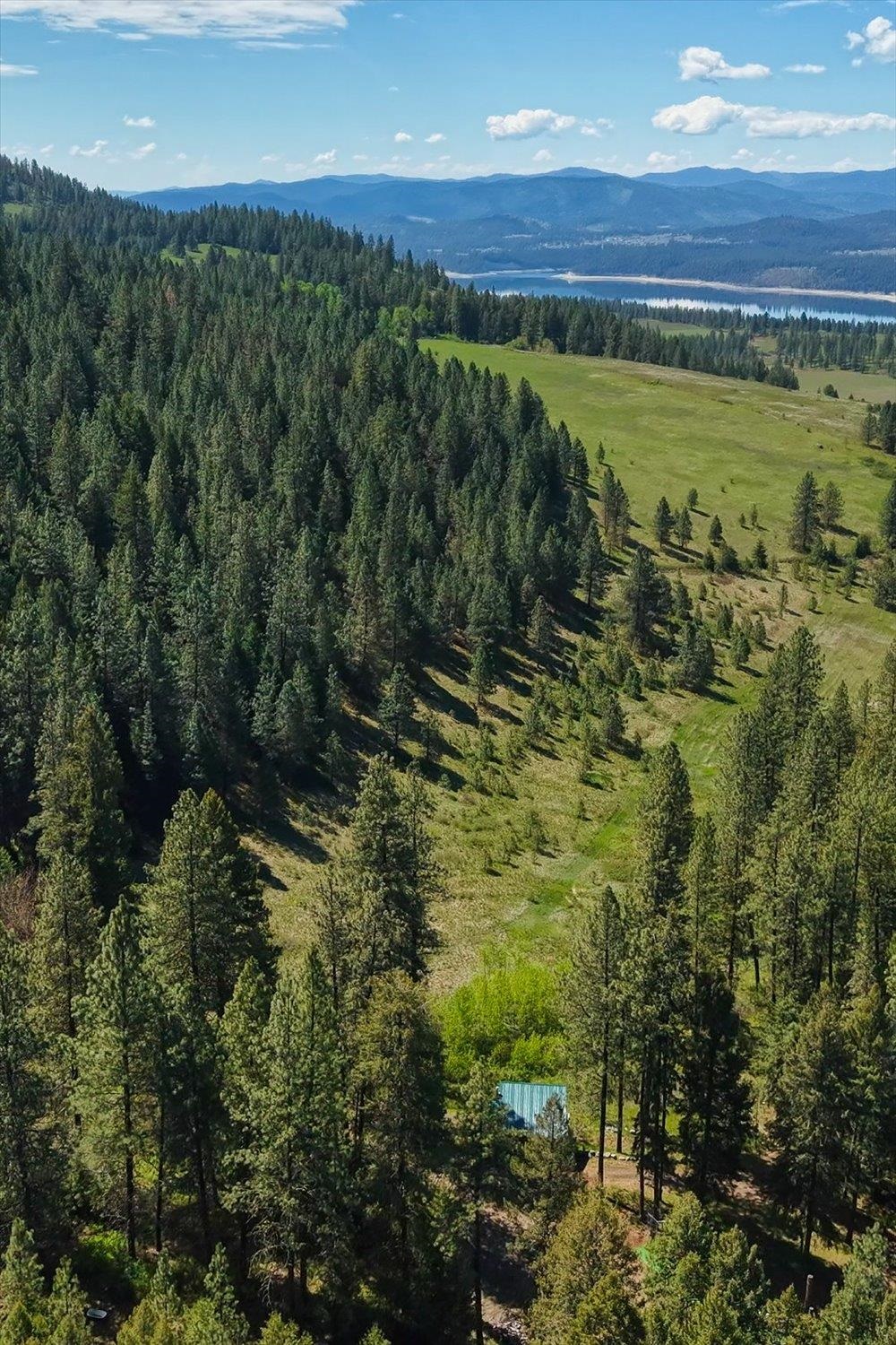 3350 Daisy Mine Rd - Photo 37