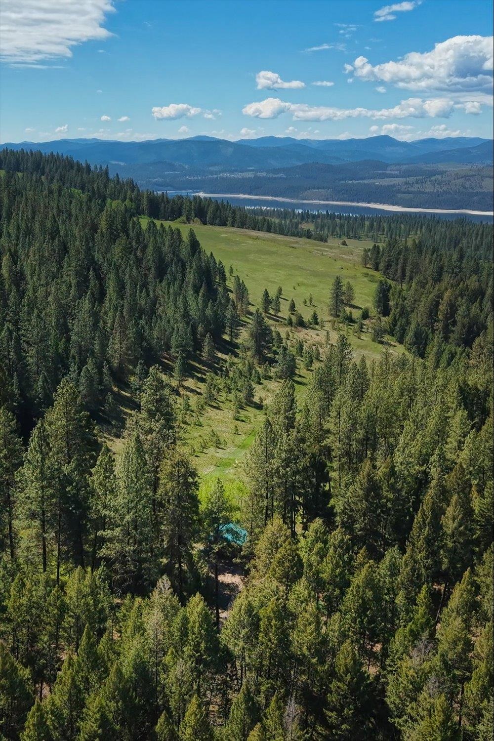 3350 Daisy Mine Rd - Photo 38