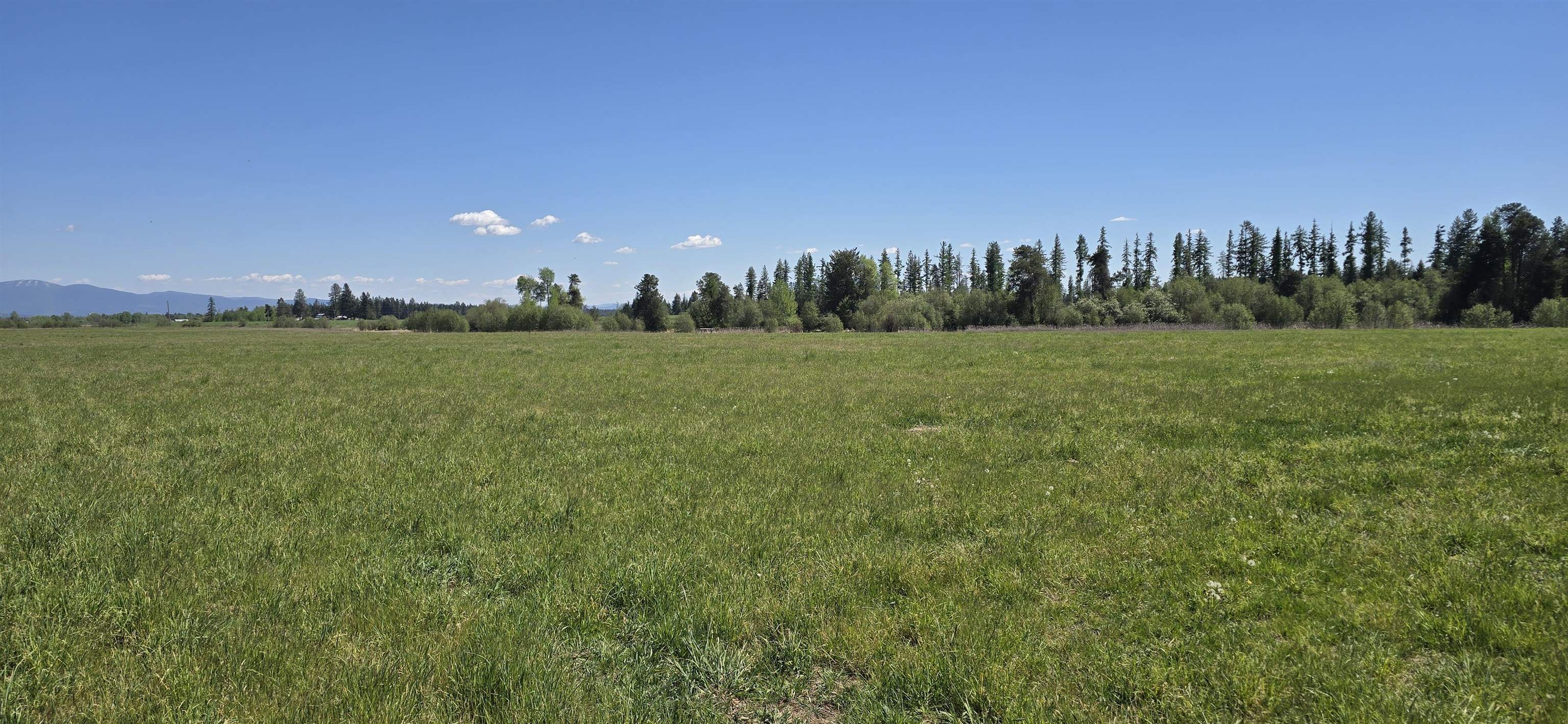 4489 Swenson Rd - Photo 5