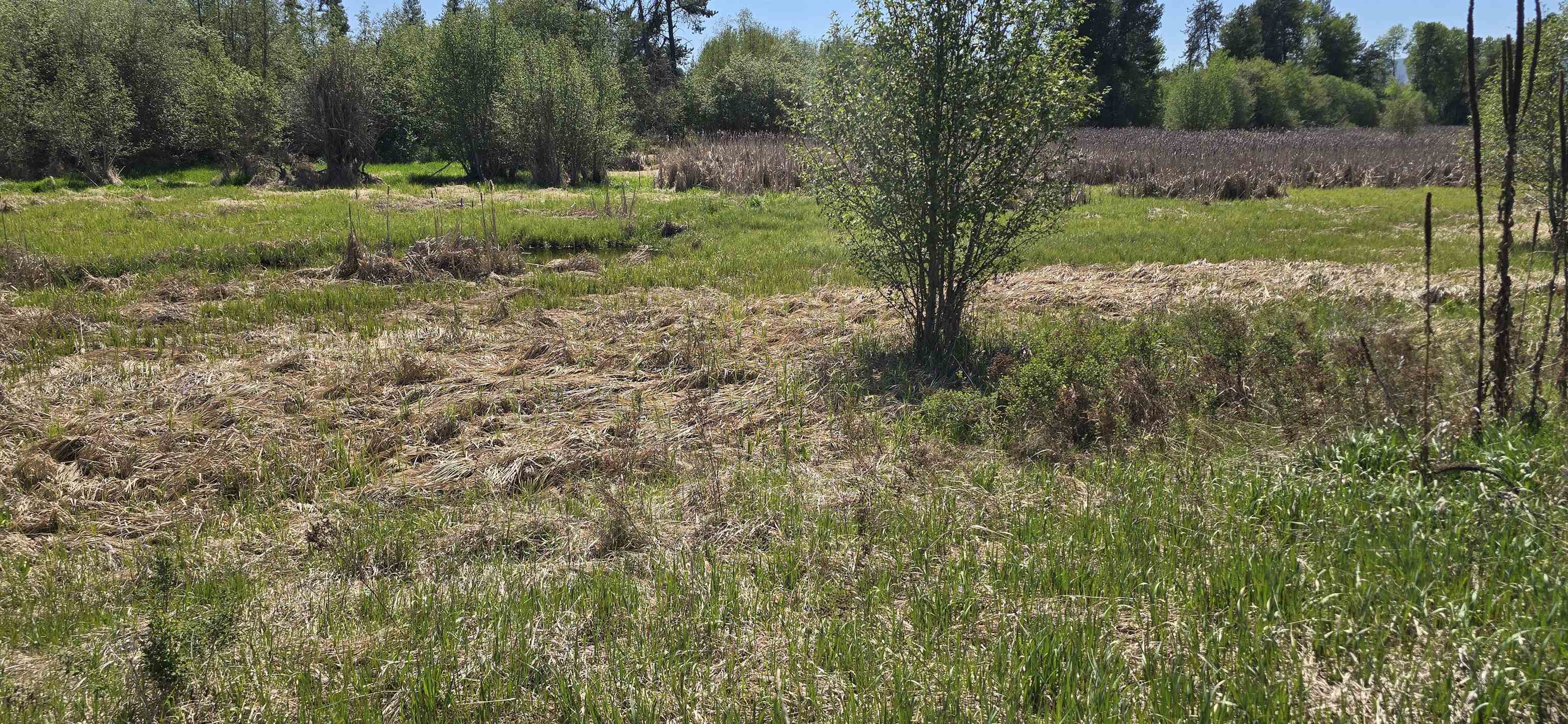 4489 Swenson Rd - Photo 8