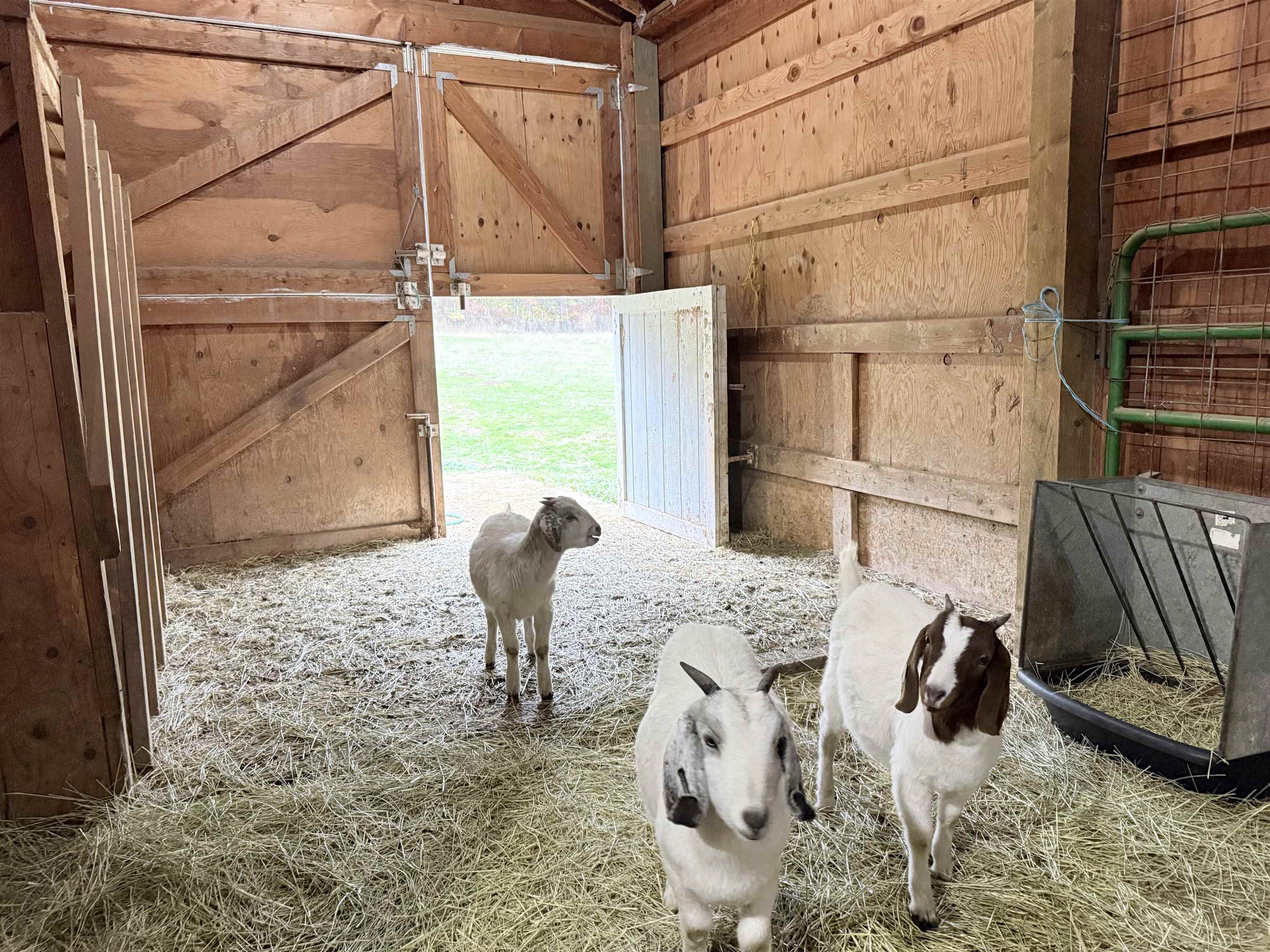 5418 S Wallbridge Rd - Photo 37
