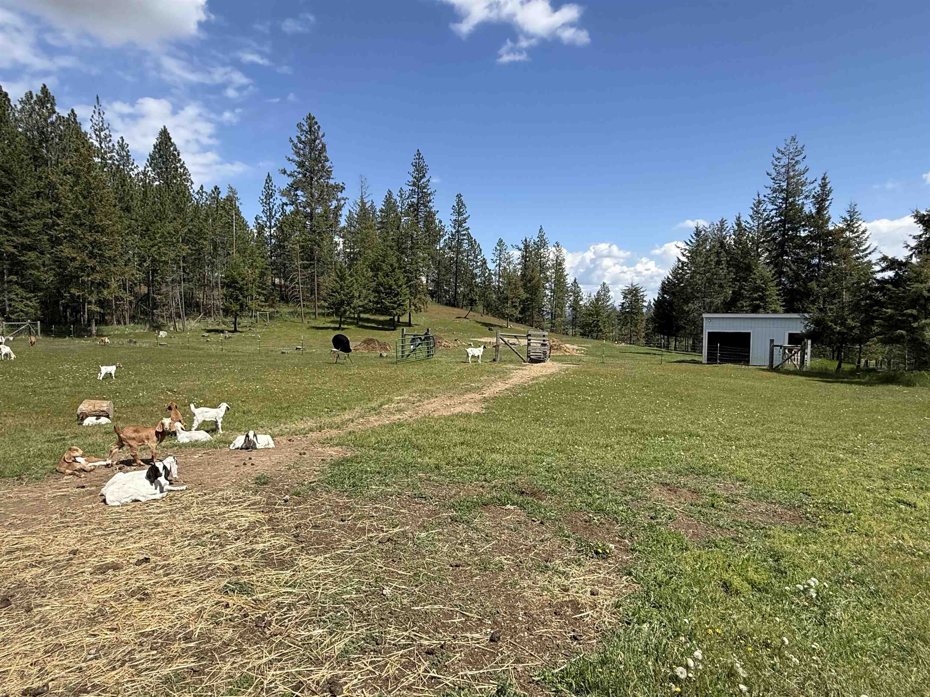 5418 S Wallbridge Rd - Photo 40