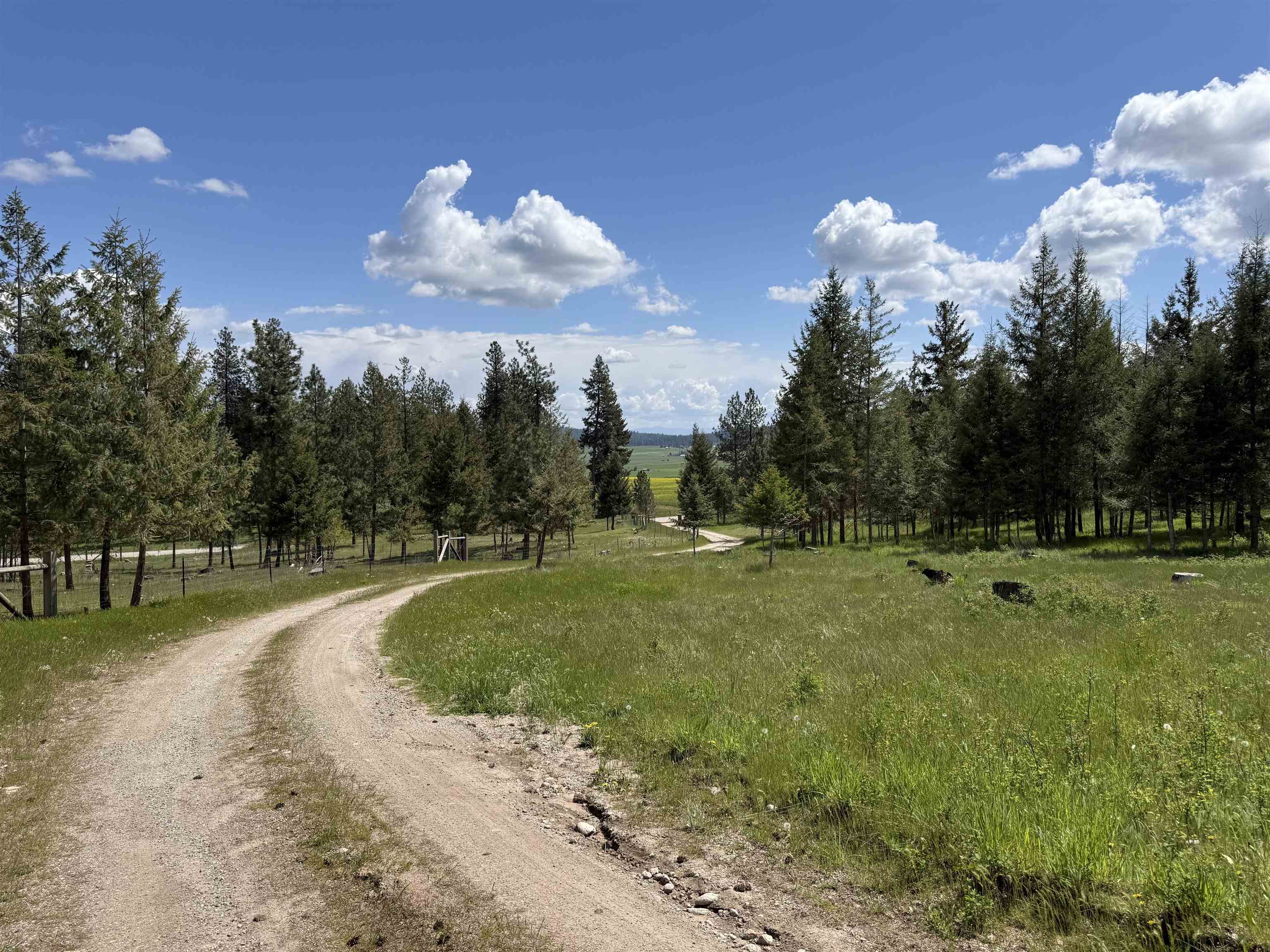 5418 S Wallbridge Rd - Photo 49